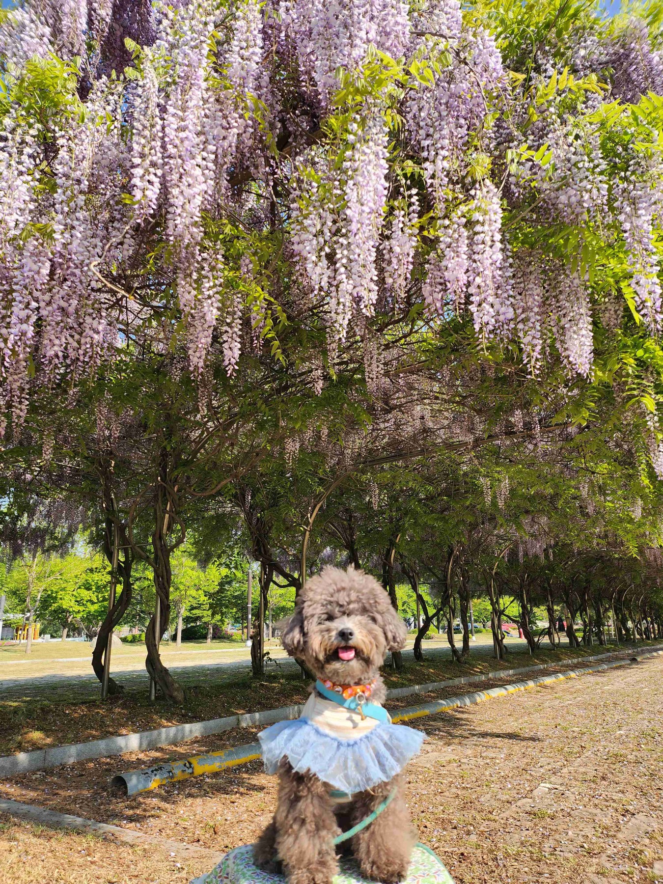 신정호국민관광지