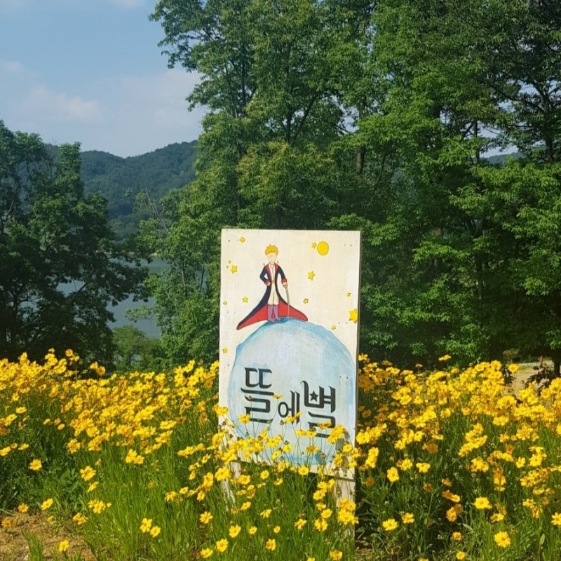 세종 뜰에별펜션