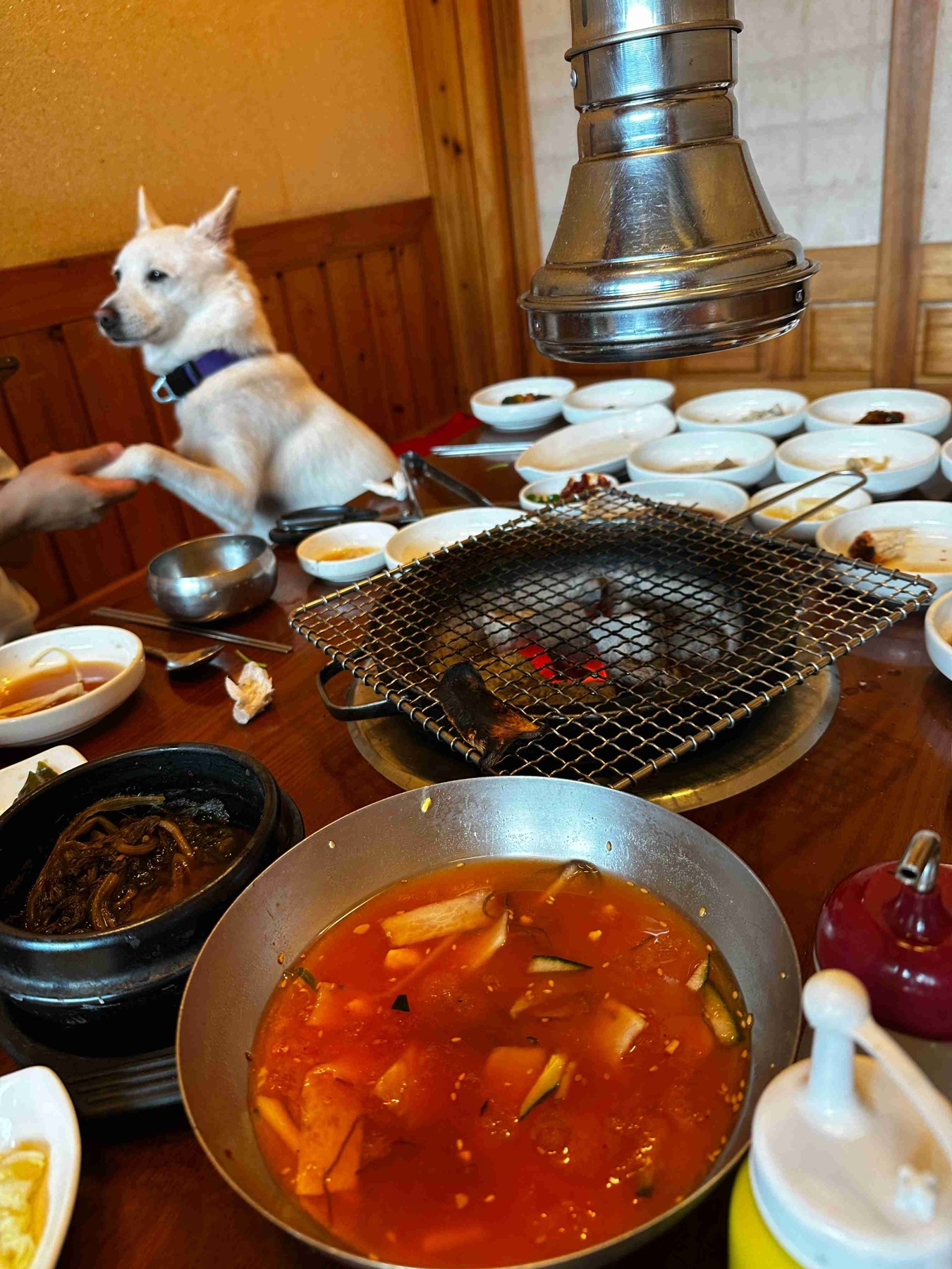 암소마당