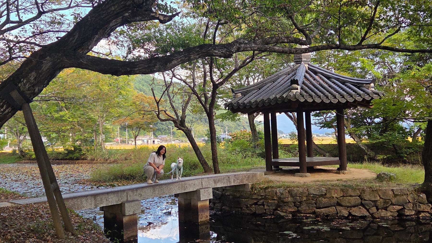 고성장산숲
