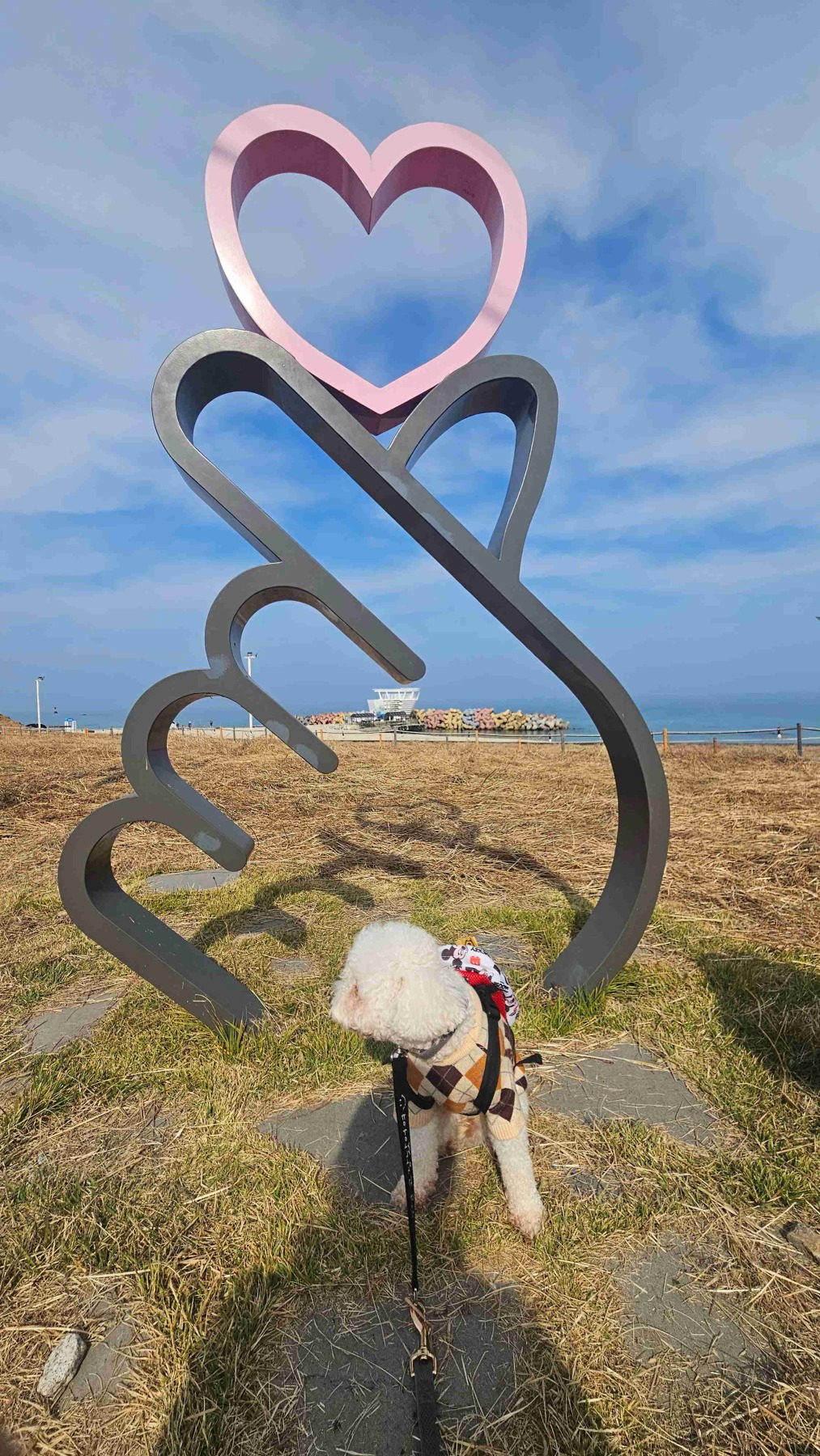 사근진해중공원 전망대