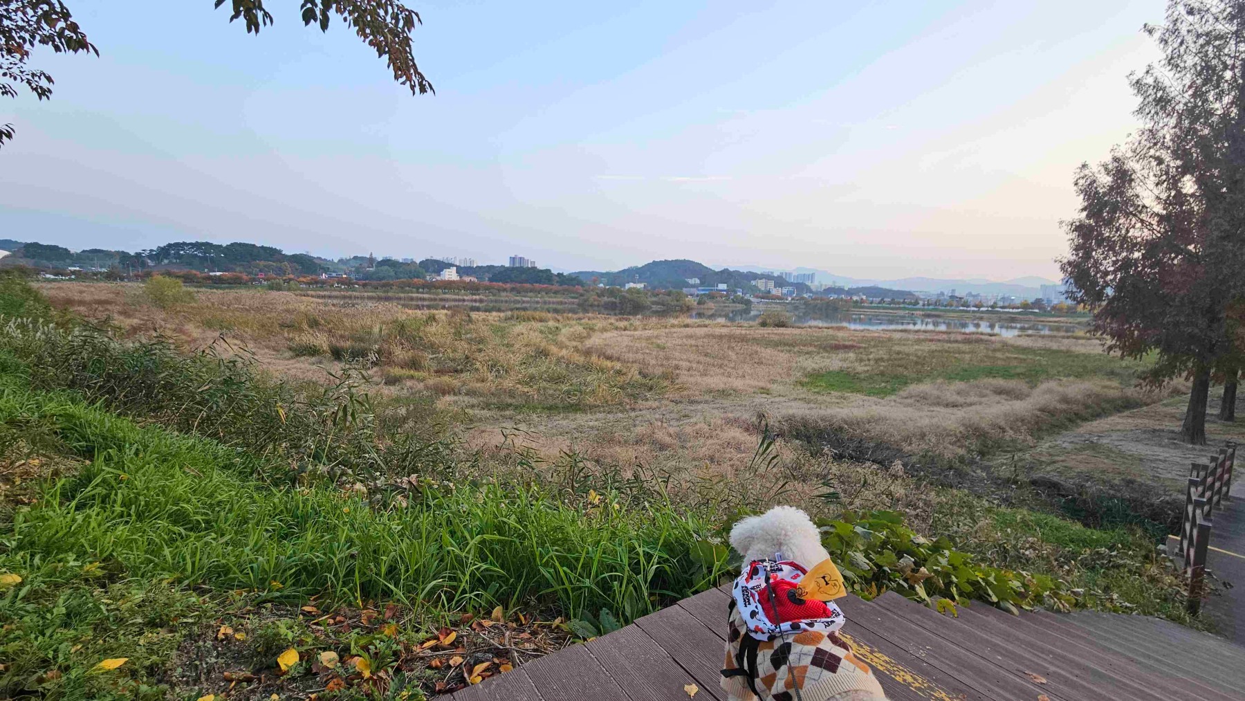 경포생태저류지