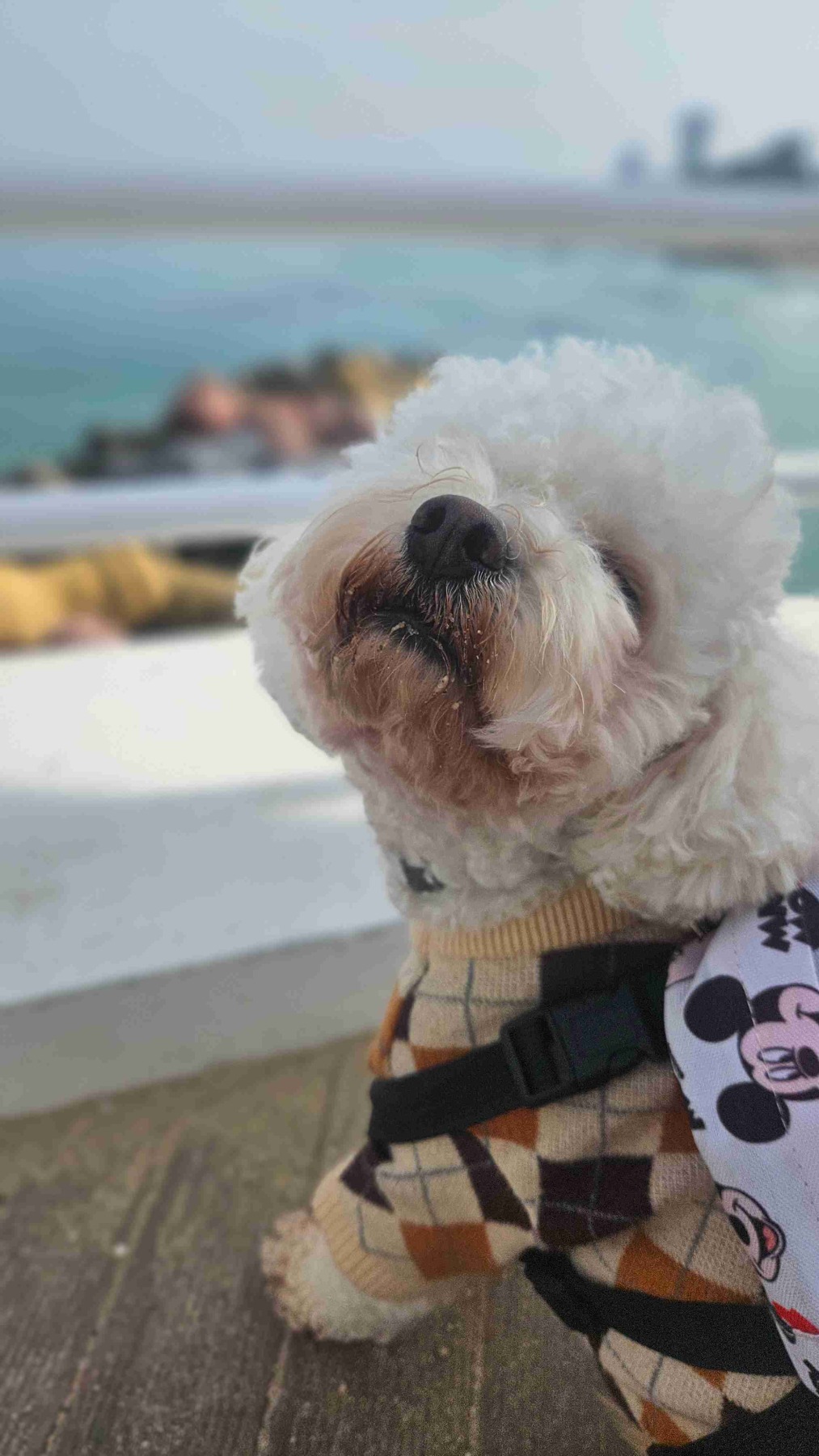 사근진해중공원 전망대
