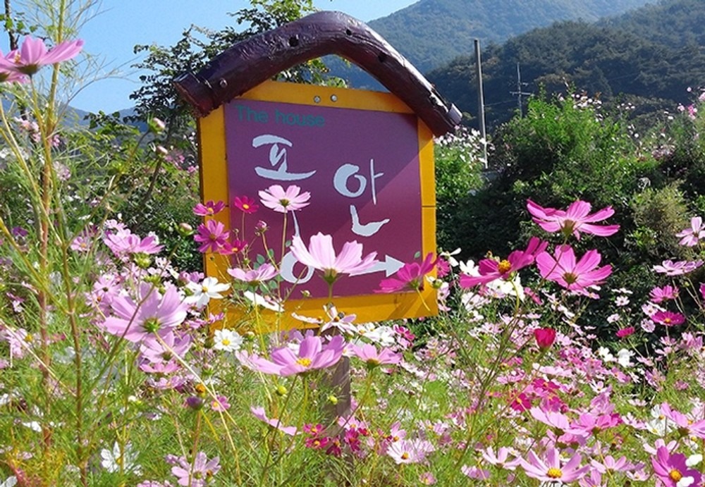 풍안펜션