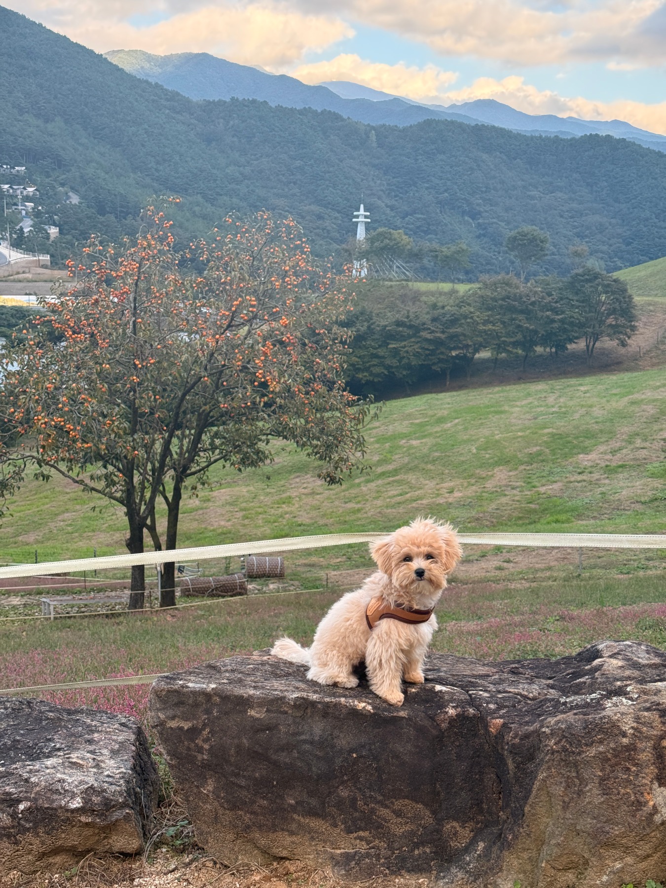 지리산치즈랜드