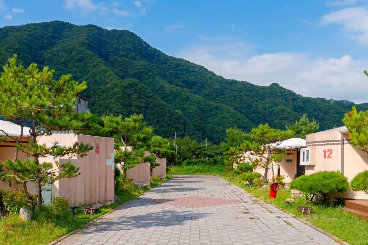 홍천 나윤이네 몽고몽고글램핑