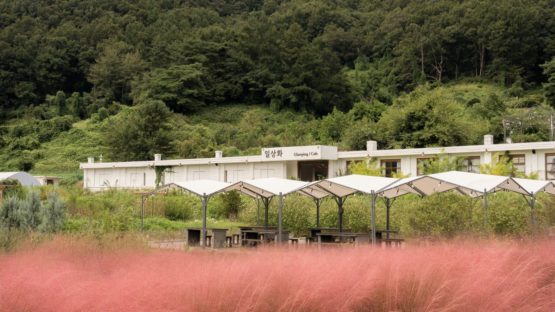 보은 일상화 글램핑