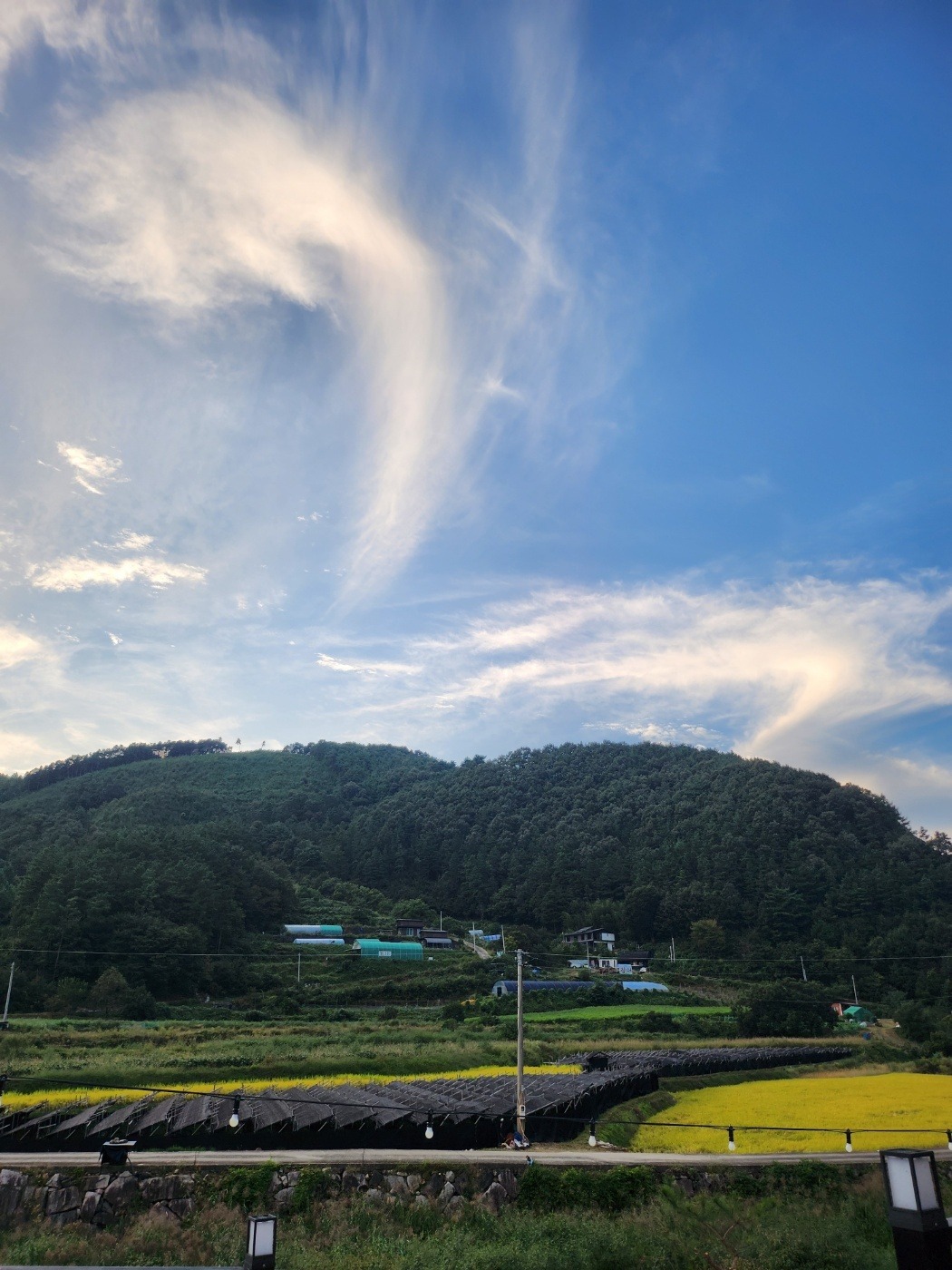 또오랑개