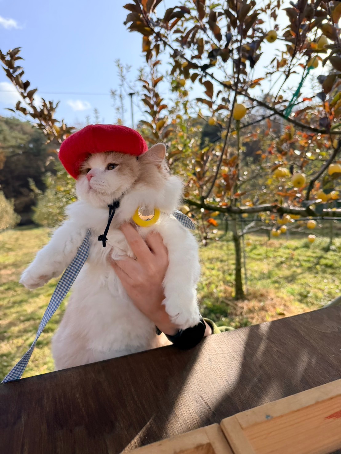 후기 이미지