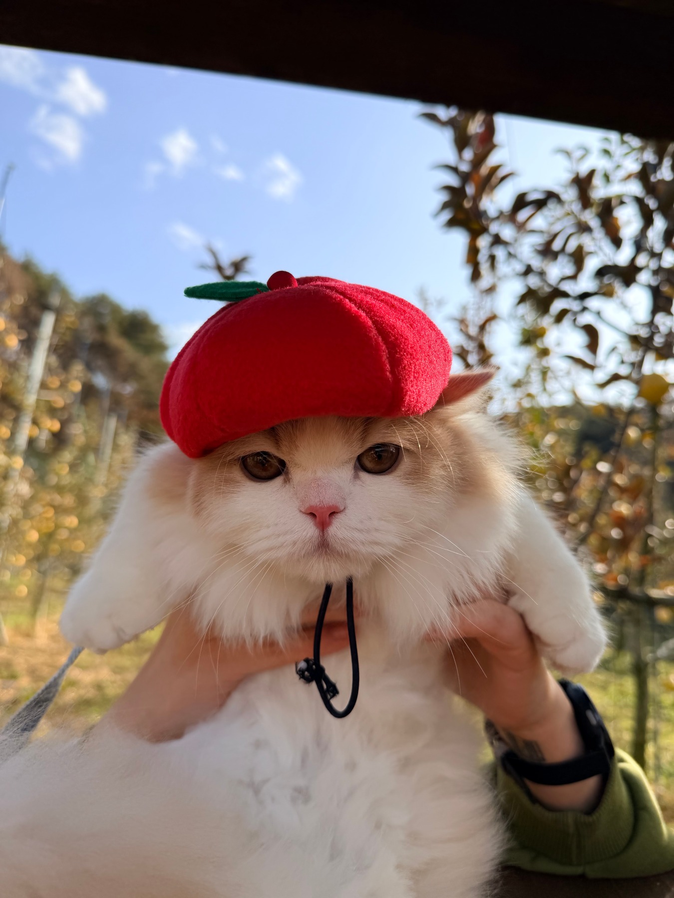 후기 이미지