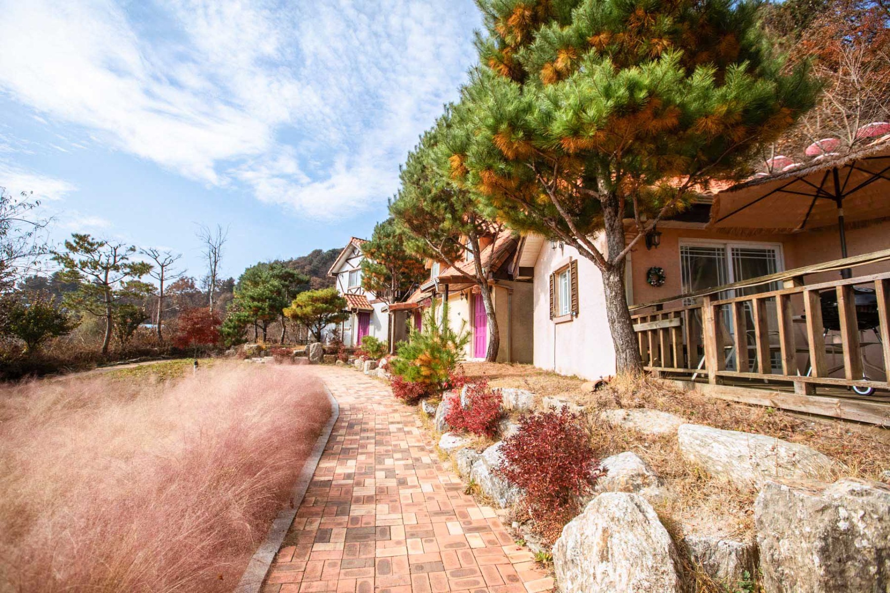 포천 허브아일랜드펜션