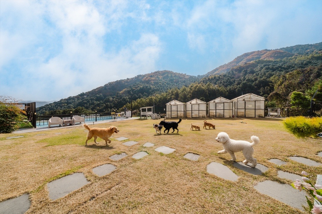가평 개댁펜션
