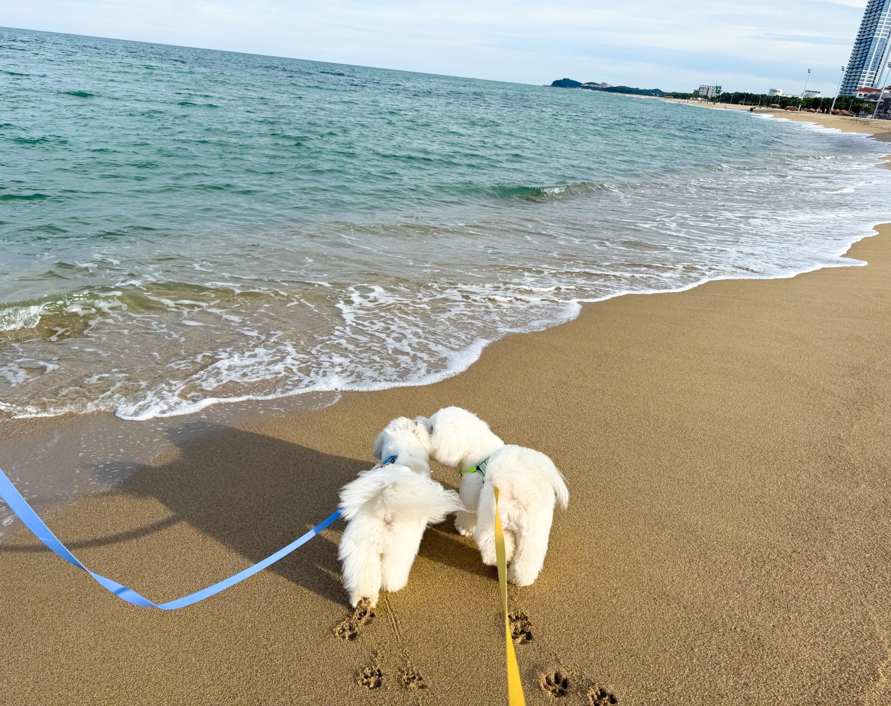 낙산해수욕장
