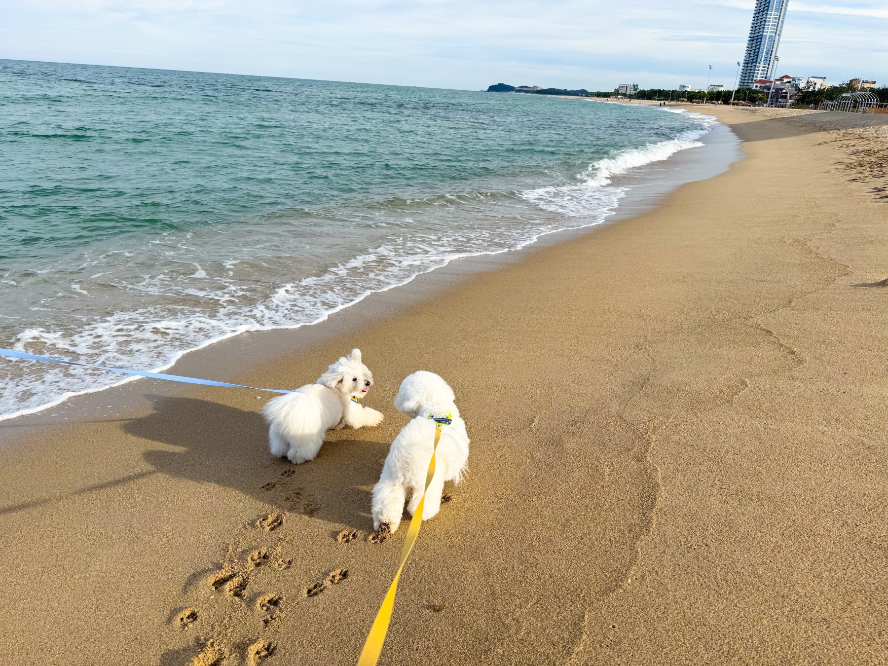 낙산해수욕장
