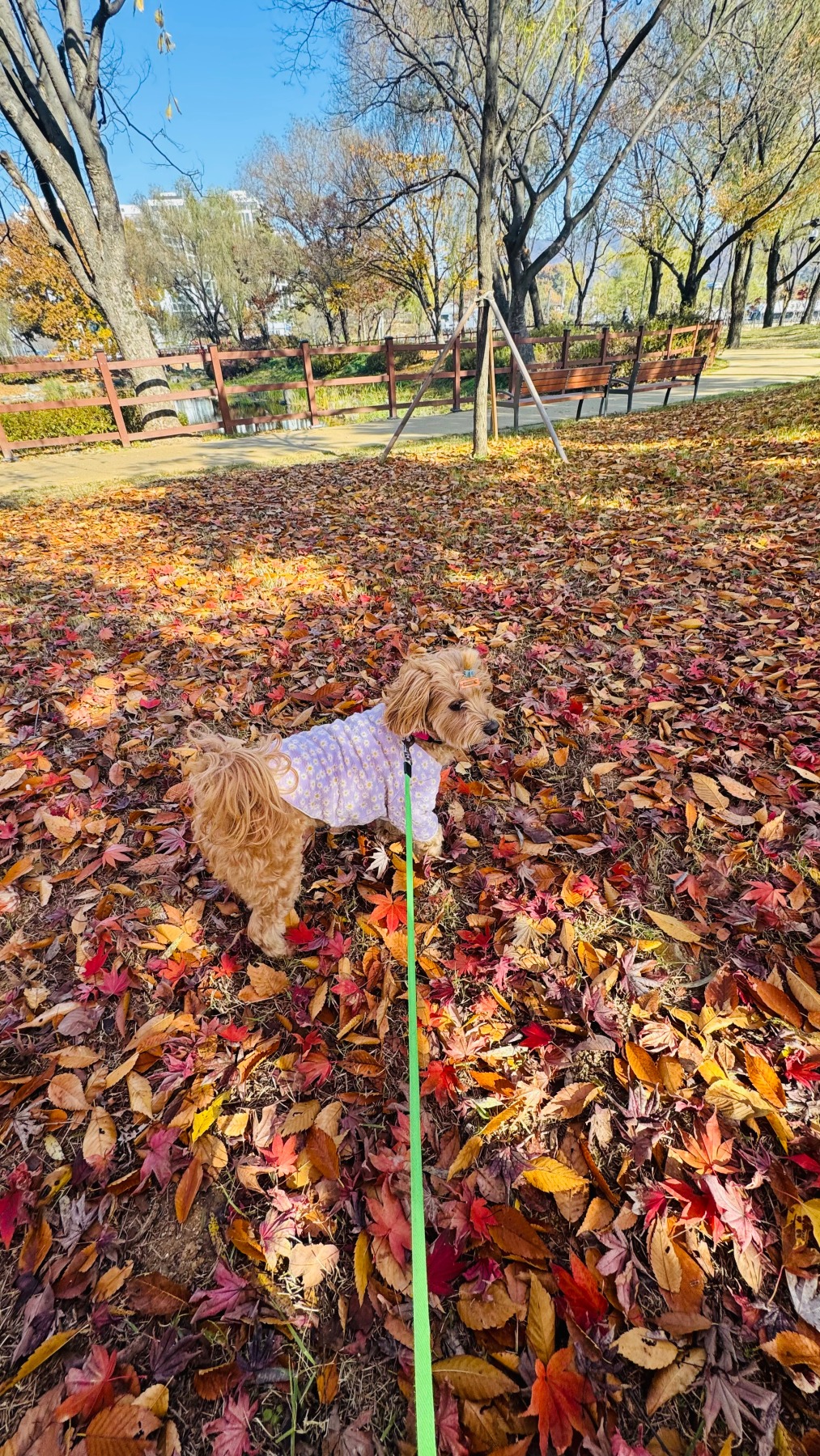 천안삼거리공원