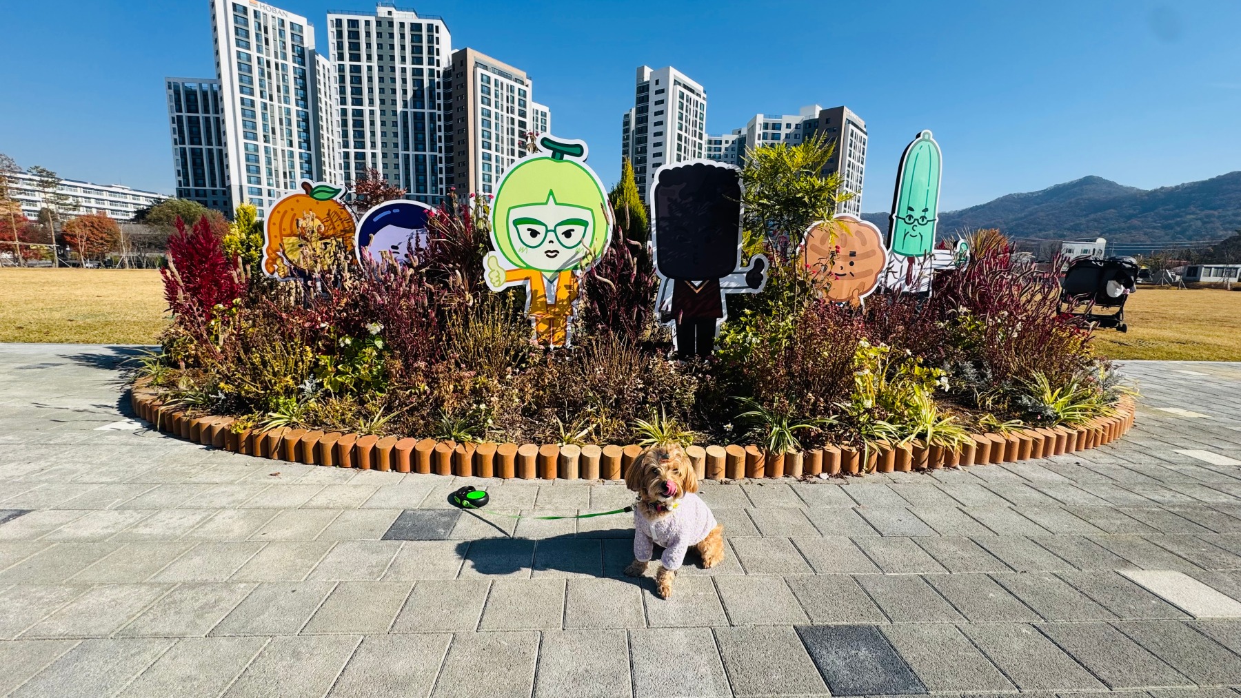 천안삼거리공원