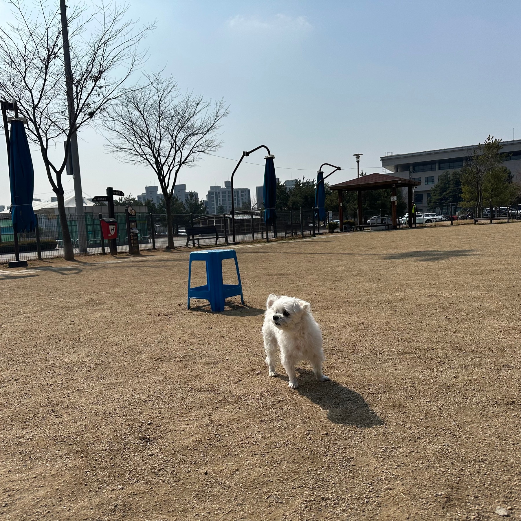 이충반려견동반시민쉼터
