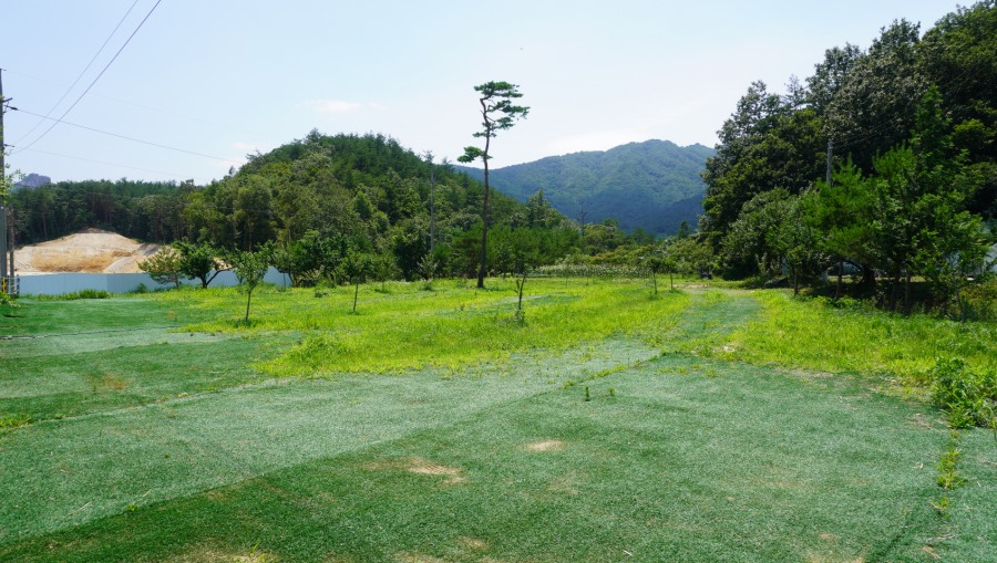 고성 펜션캠핑장