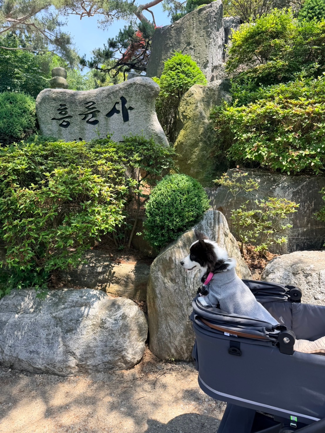 흥륜사