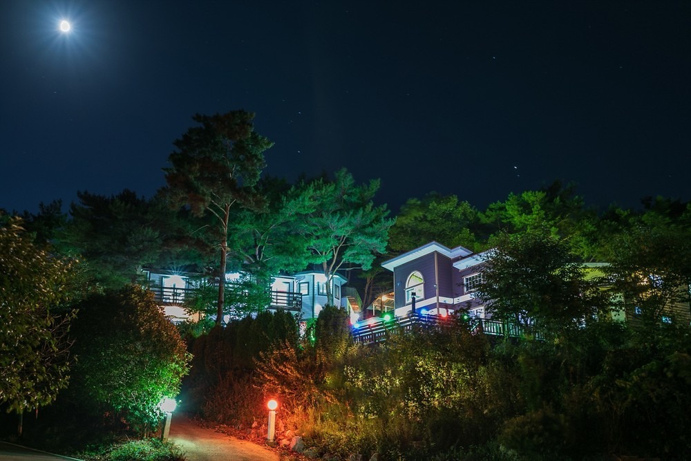 태안 그때그 펜션