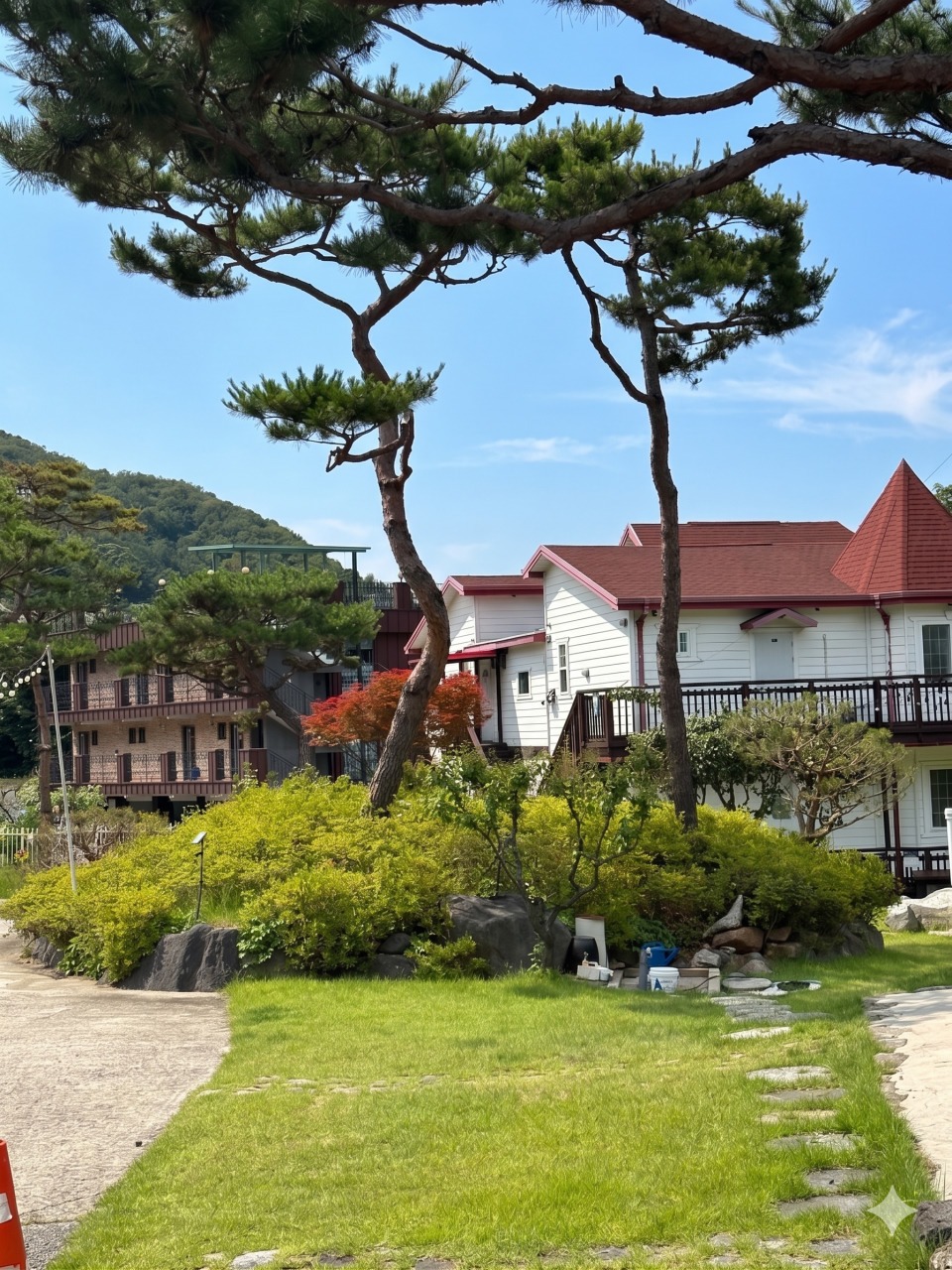 포테이션