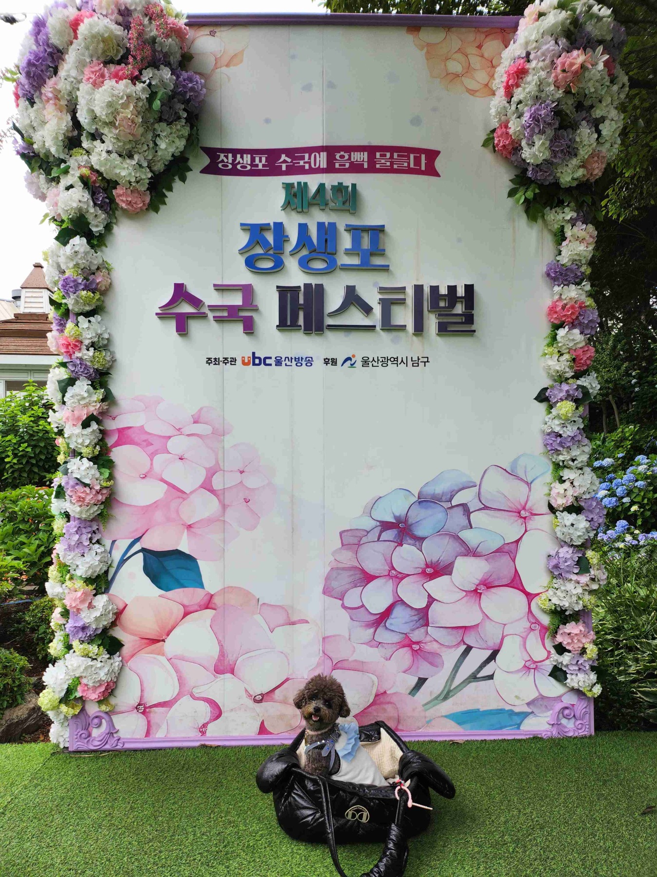 장생포고래문화마을수국정원