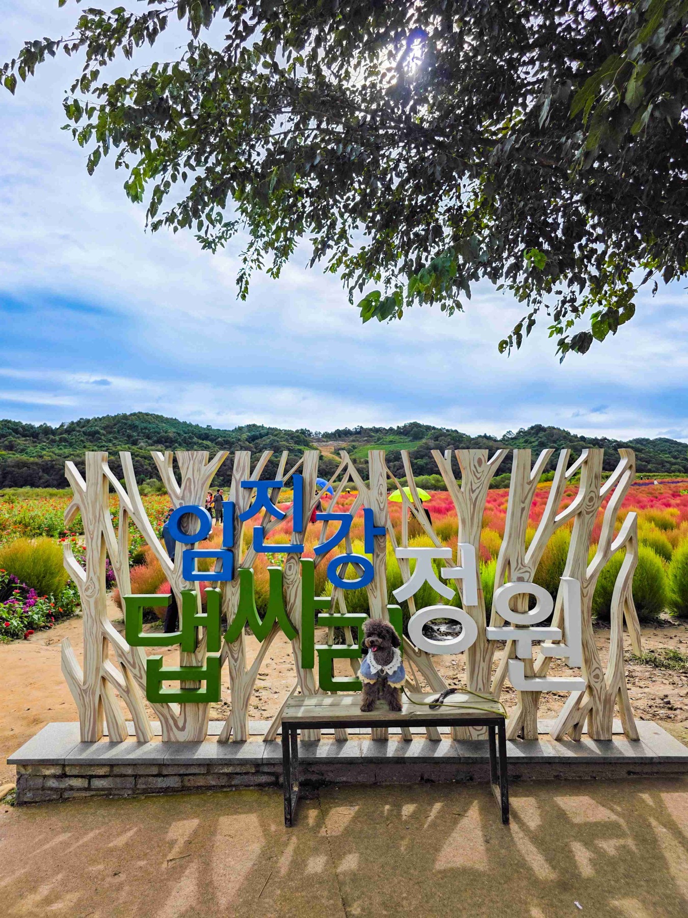 임진강 댑싸리공원