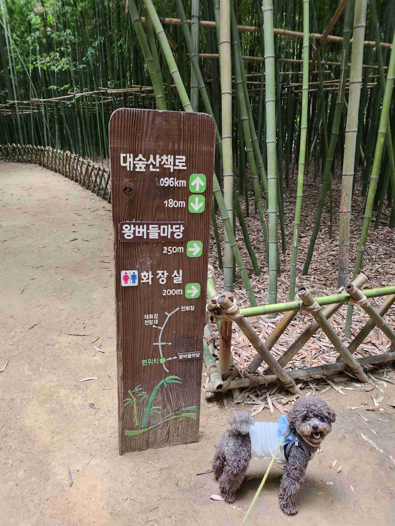태화강 국가정원십리대숲