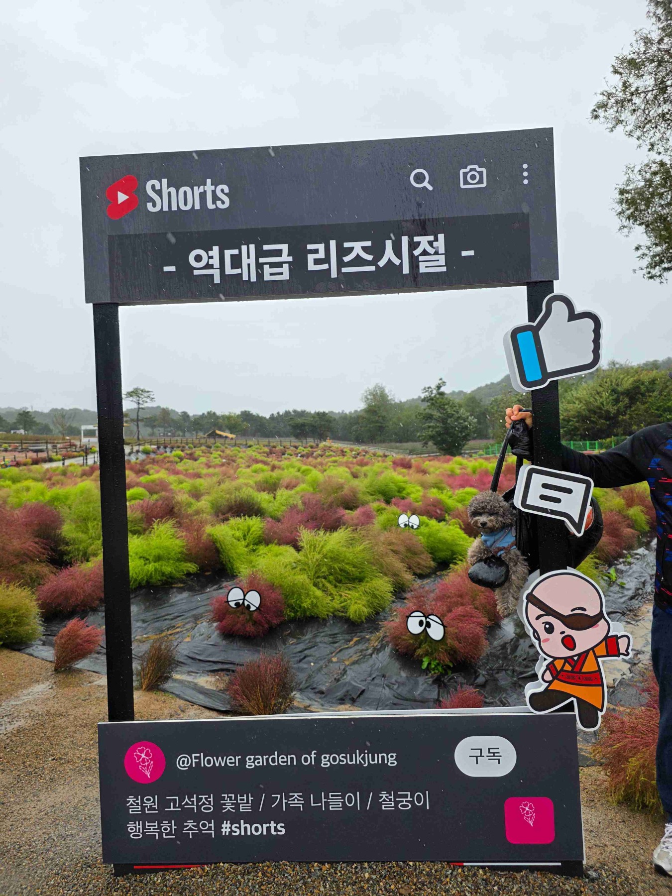 고석정