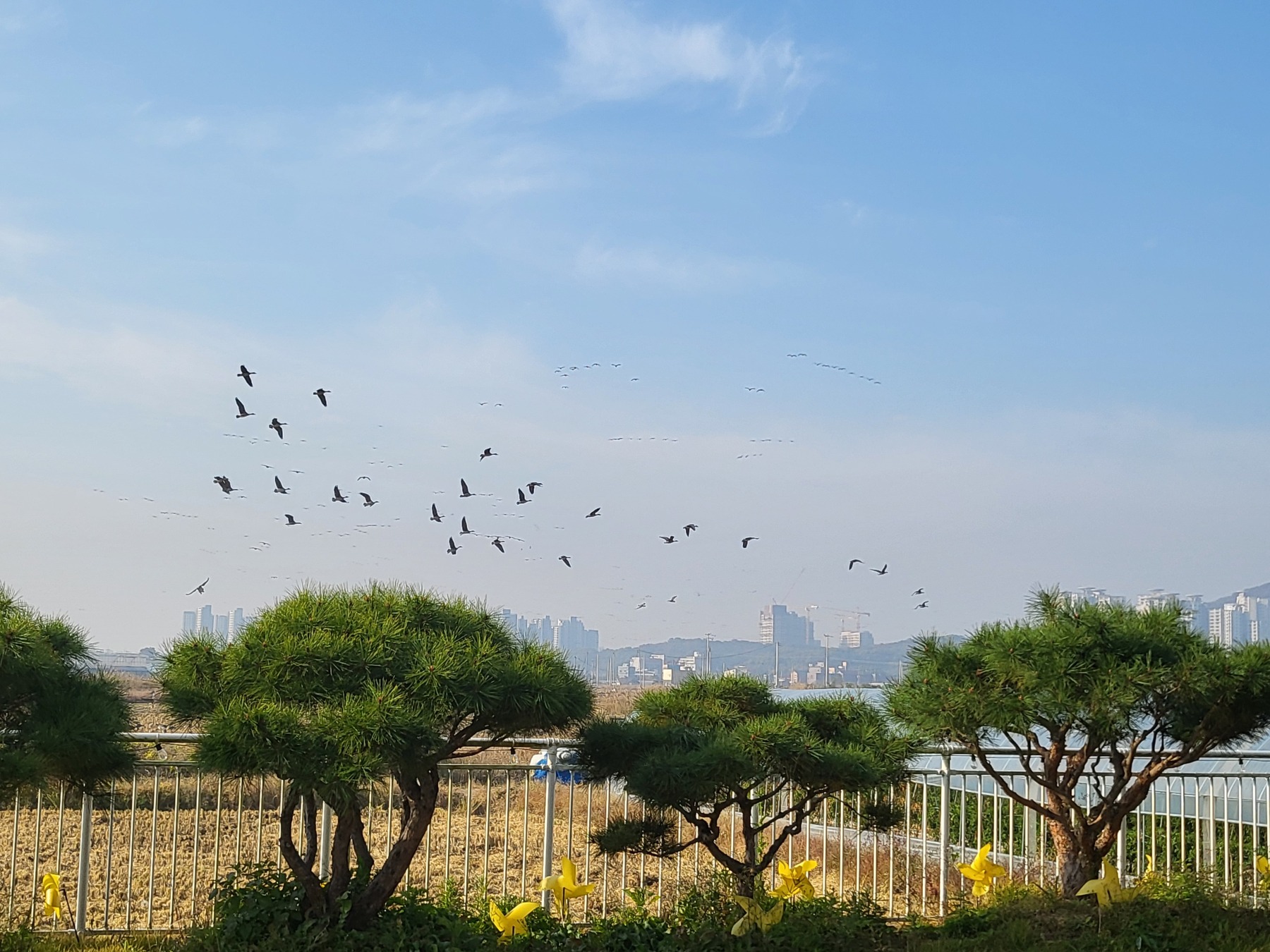 산들비