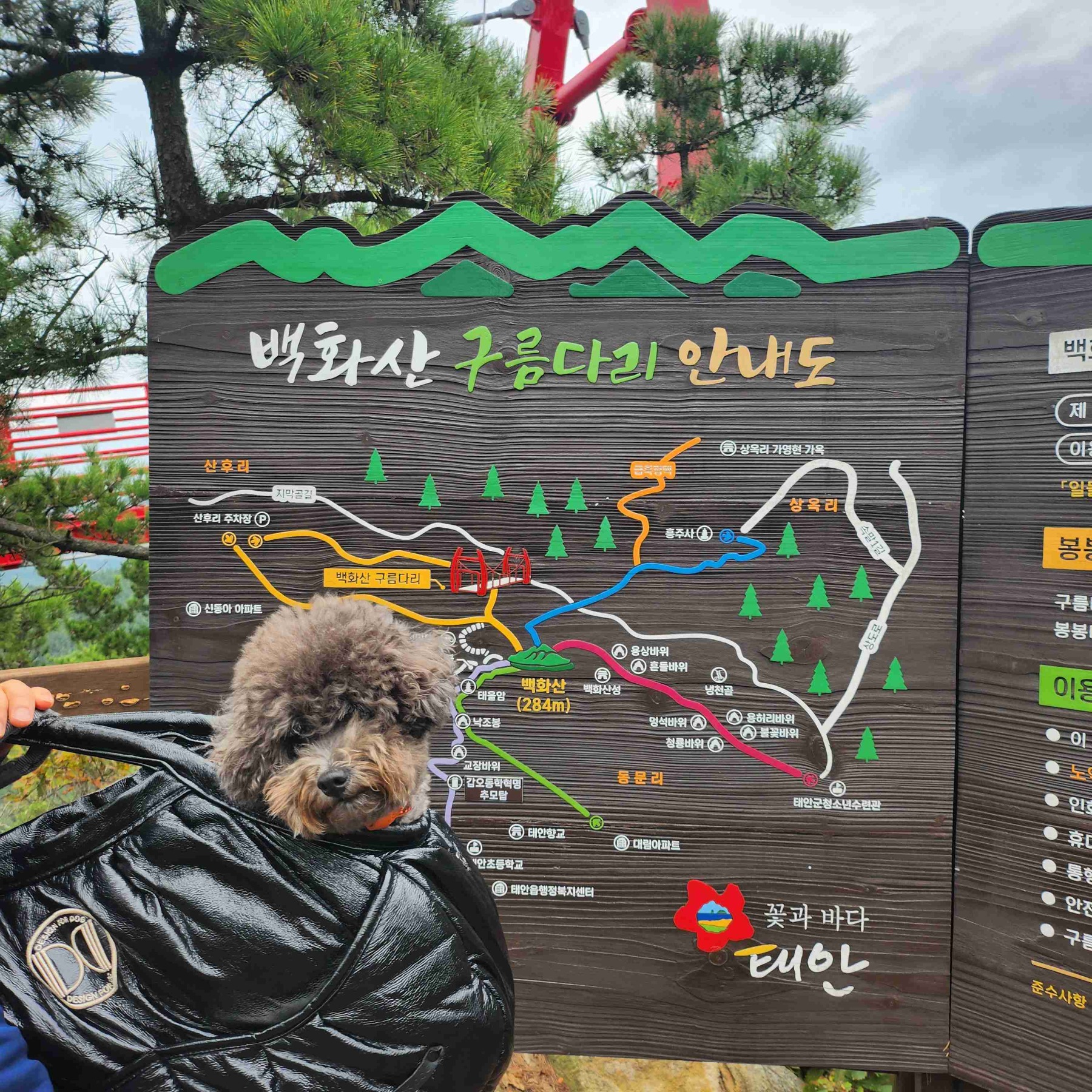 백화산 구름다리