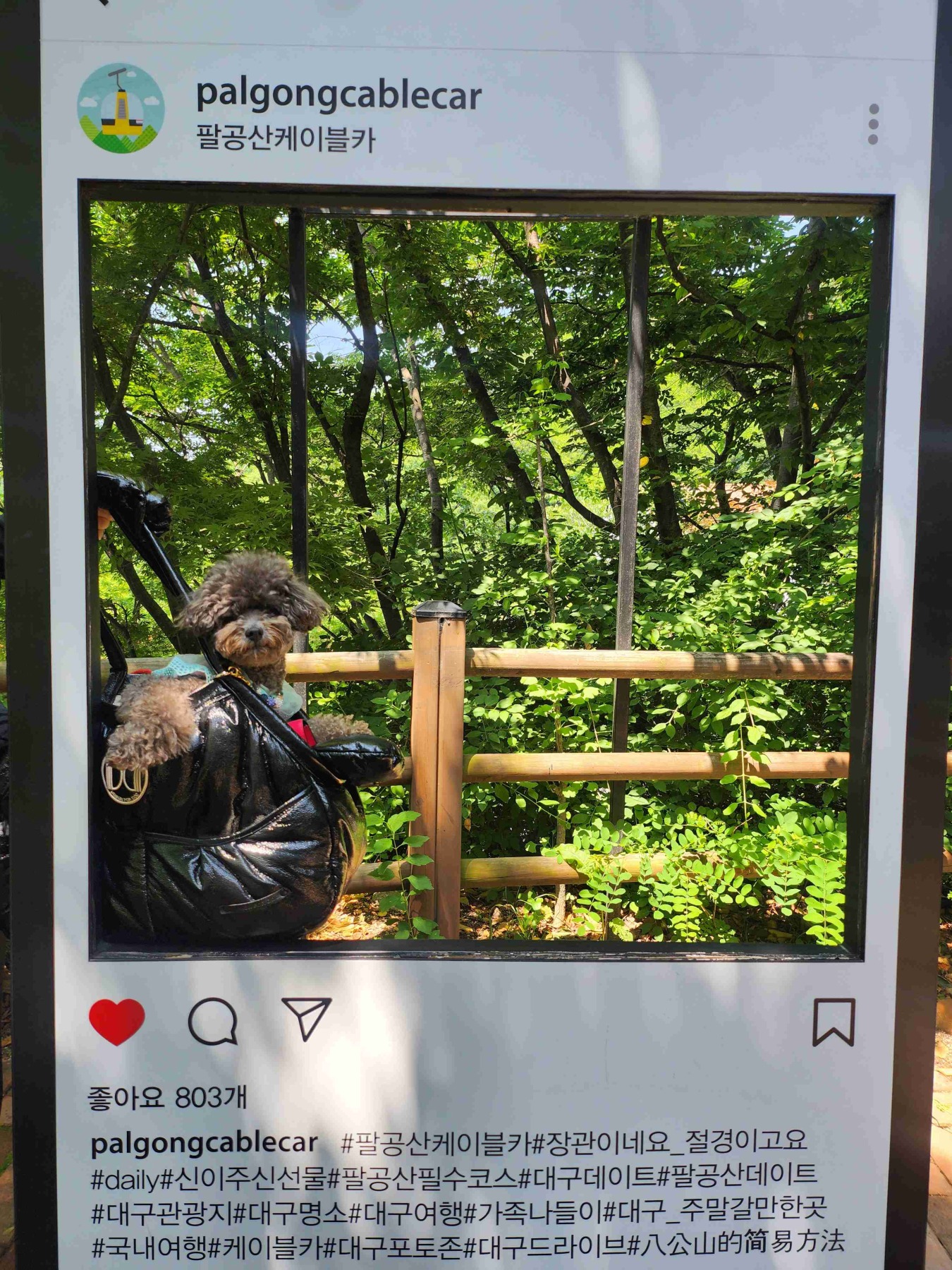 팔공산케이블카