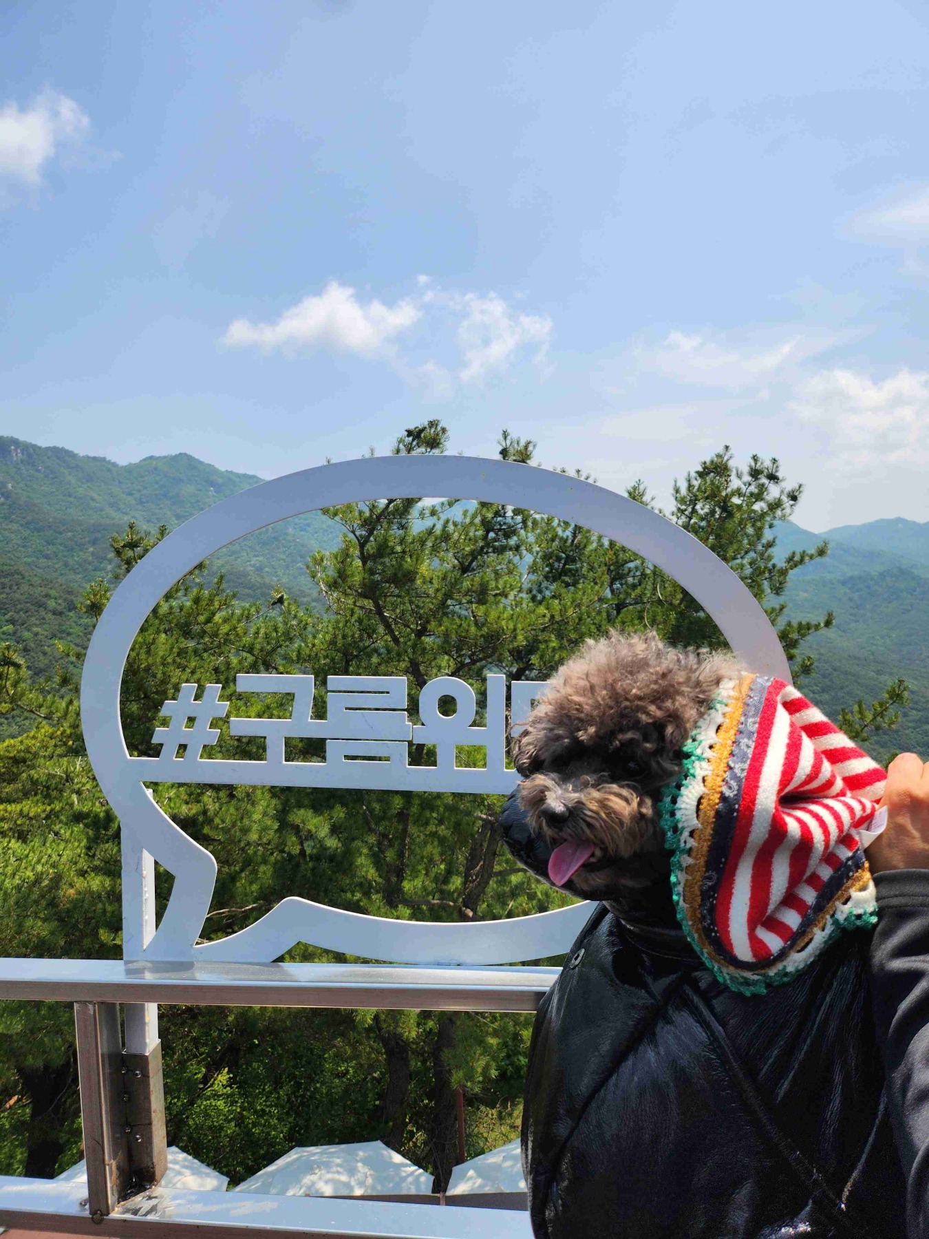 팔공산케이블카