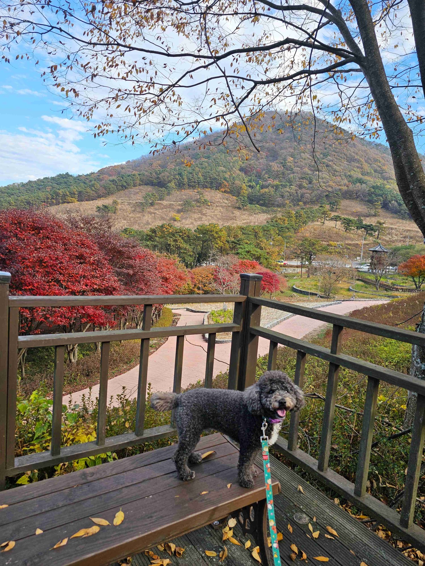 만연산지구산림공원