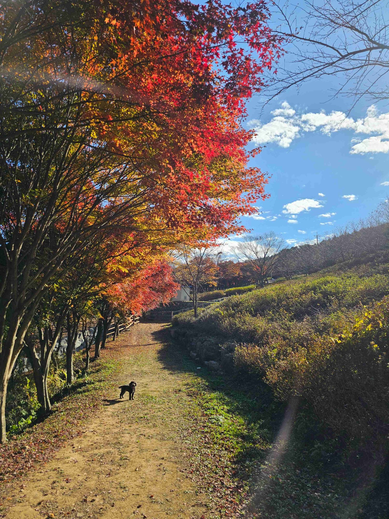 만연산지구산림공원