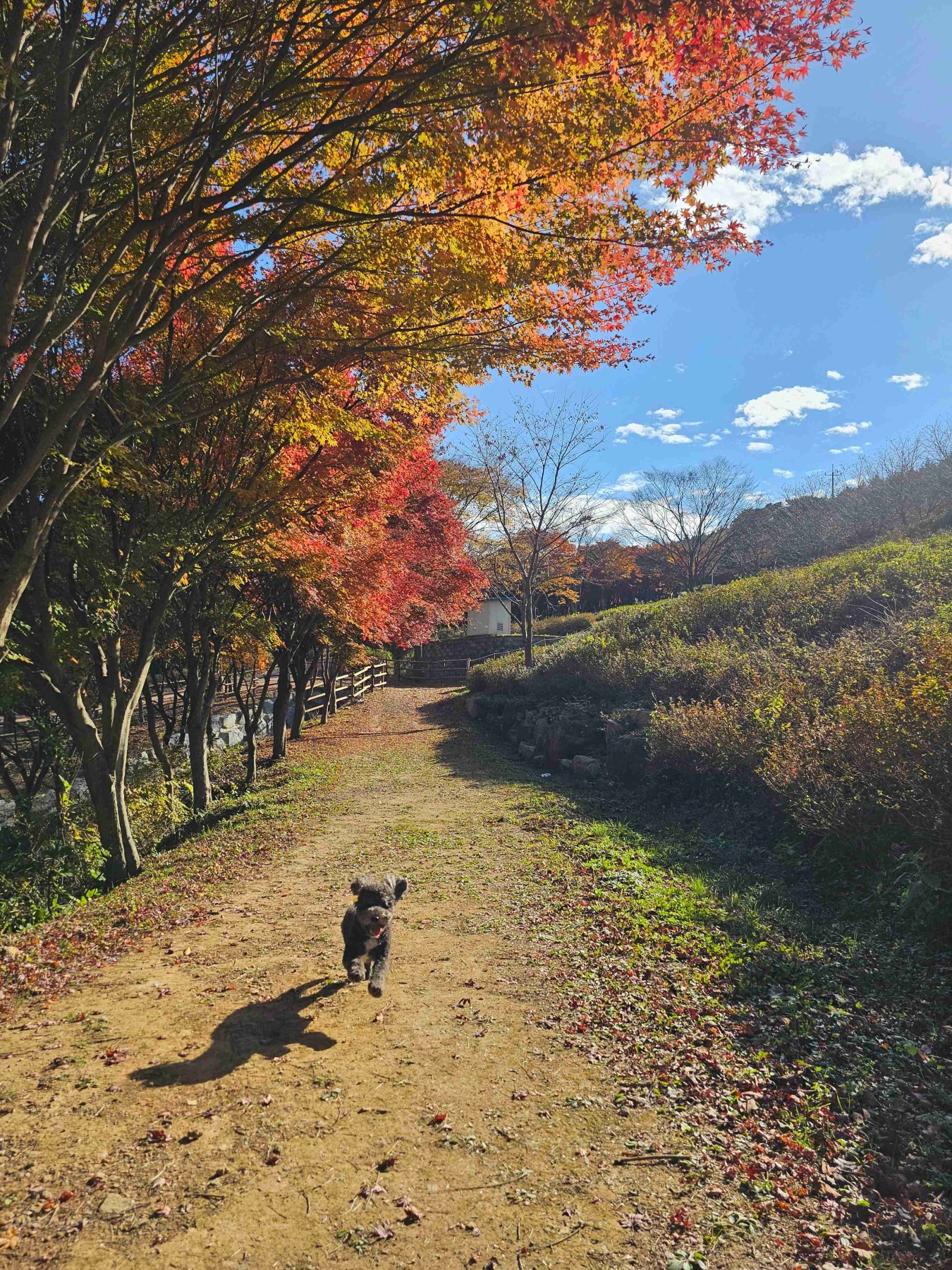 만연산지구산림공원