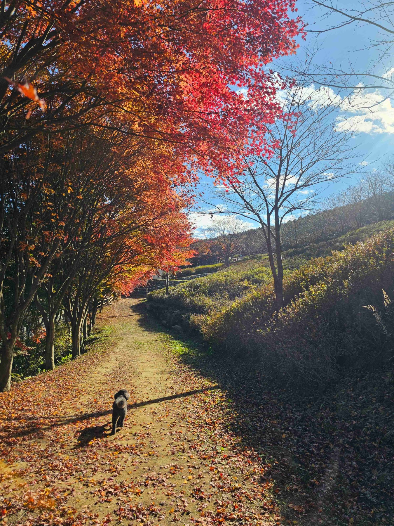 만연산지구산림공원