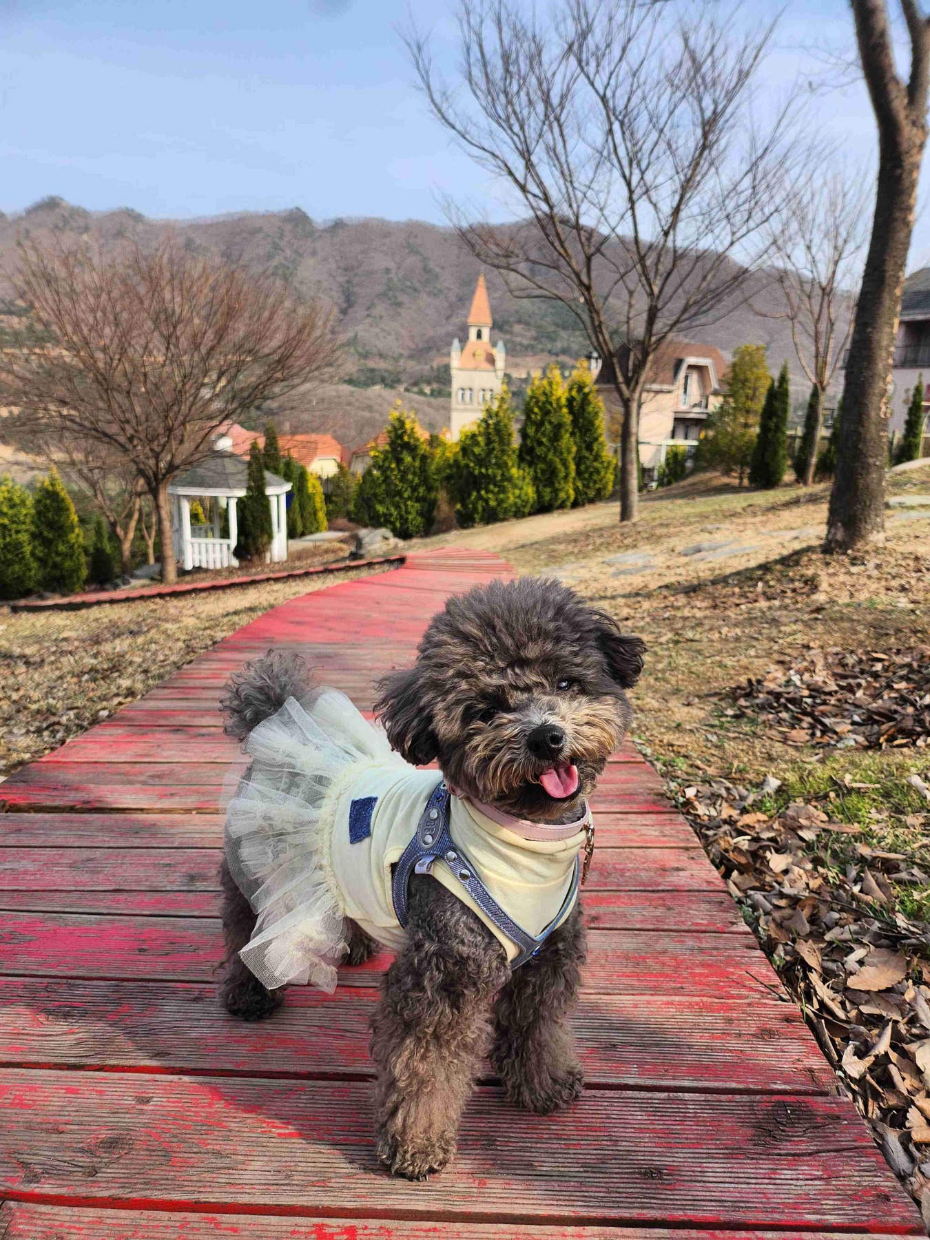 에델바이스 스위스 테마파크