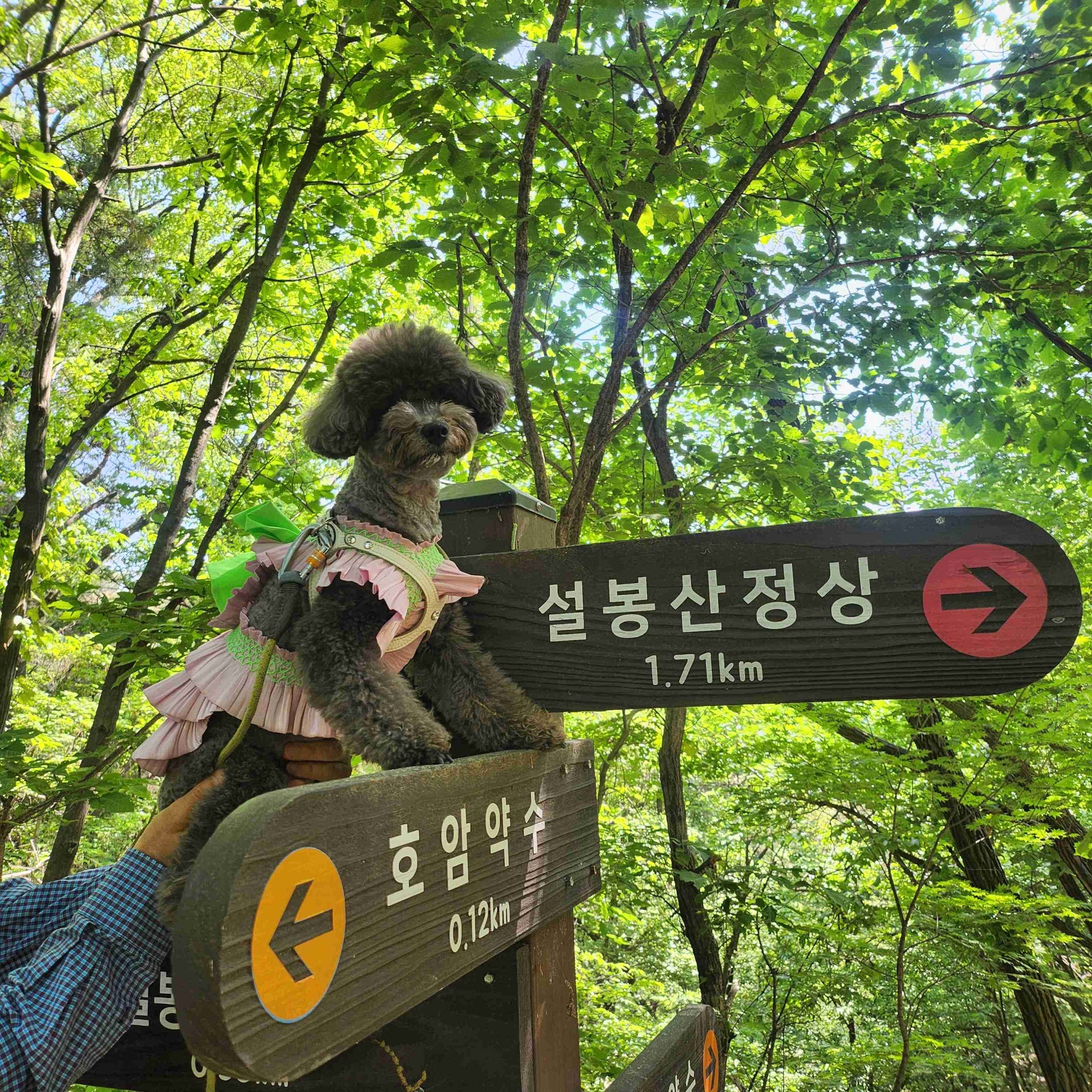 설봉공원