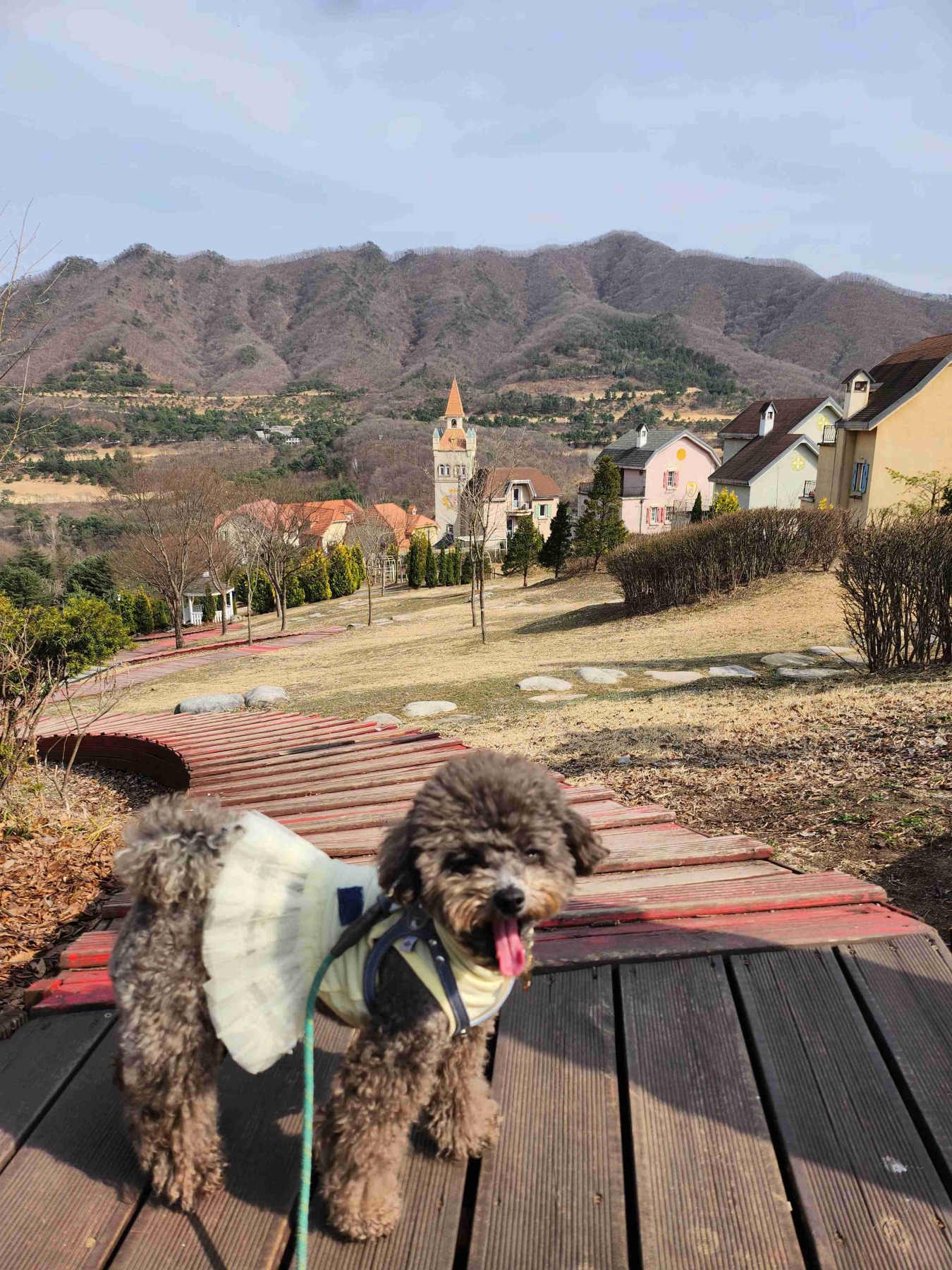 에델바이스 스위스 테마파크