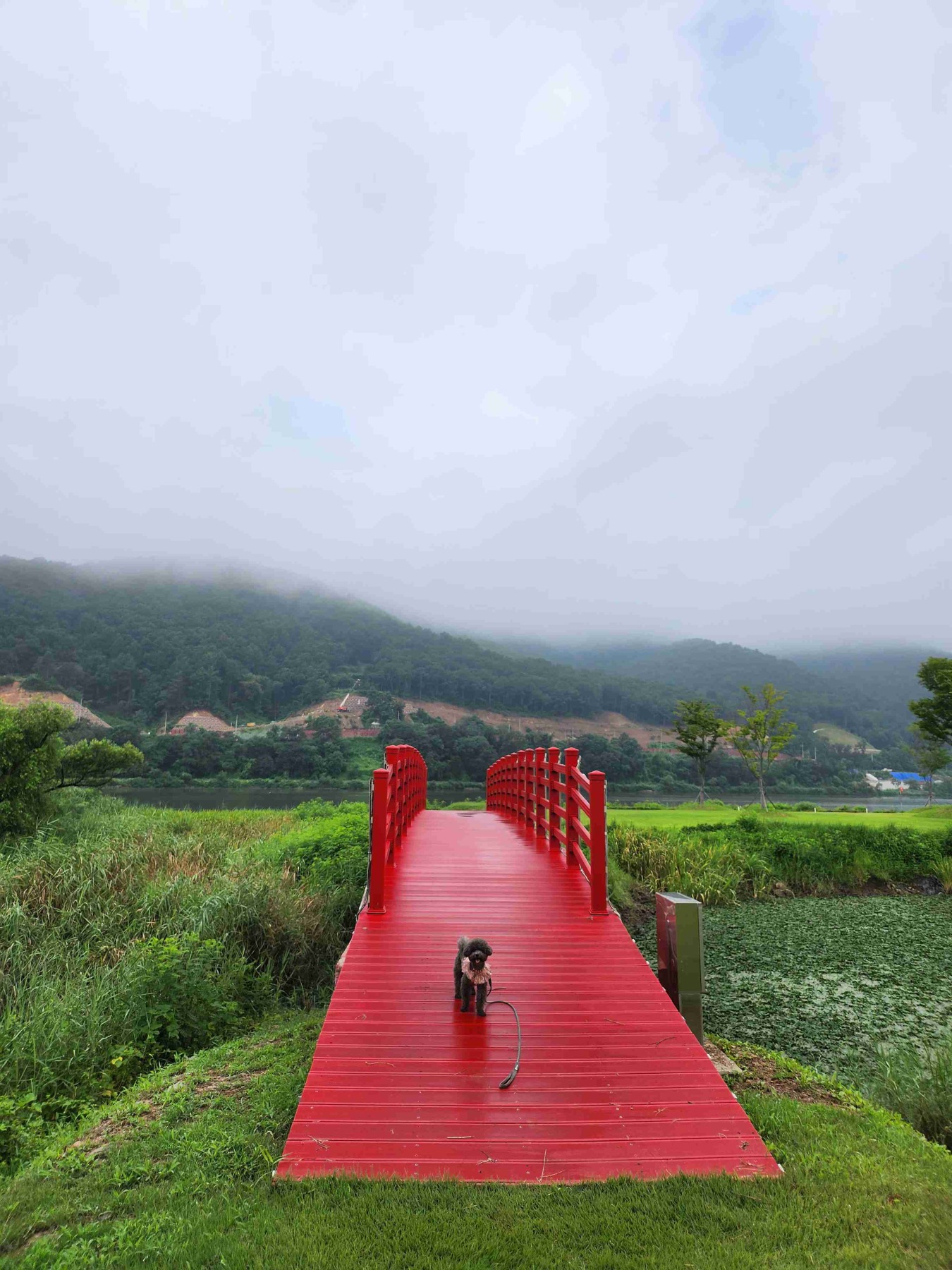 아를테마수목원