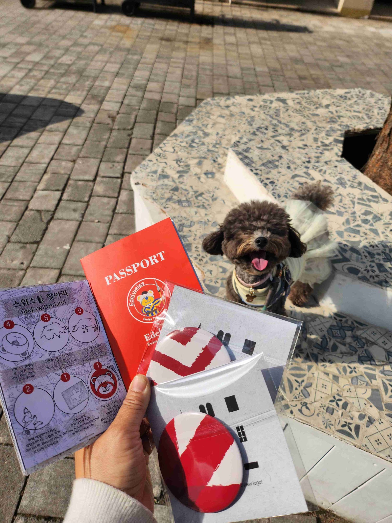 에델바이스 스위스 테마파크