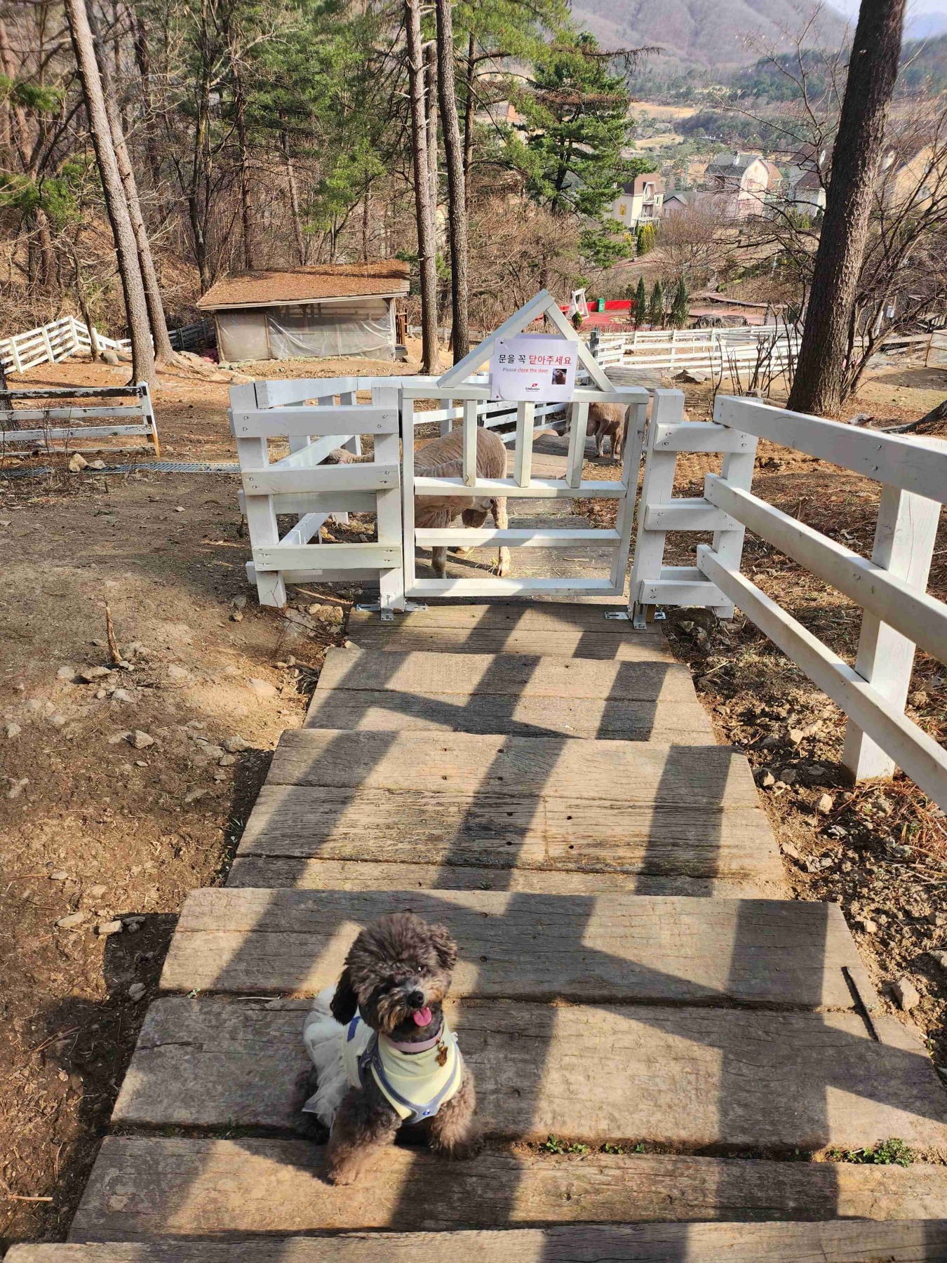 에델바이스 스위스 테마파크