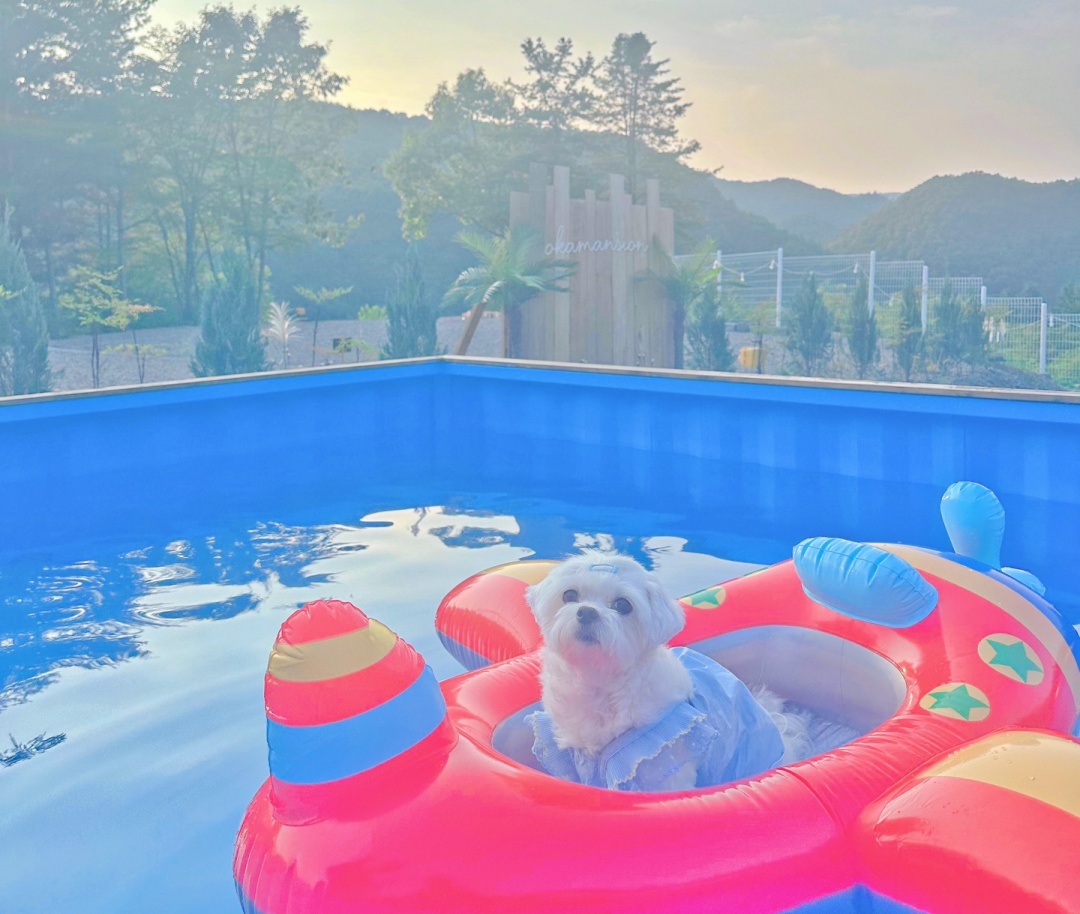 숙소 사진