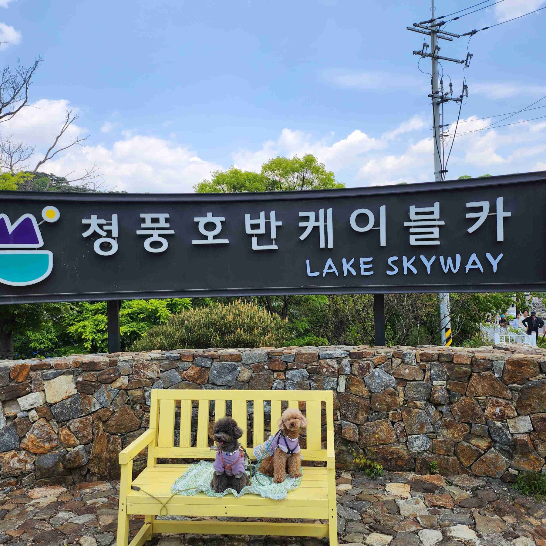 청풍호반케이블카