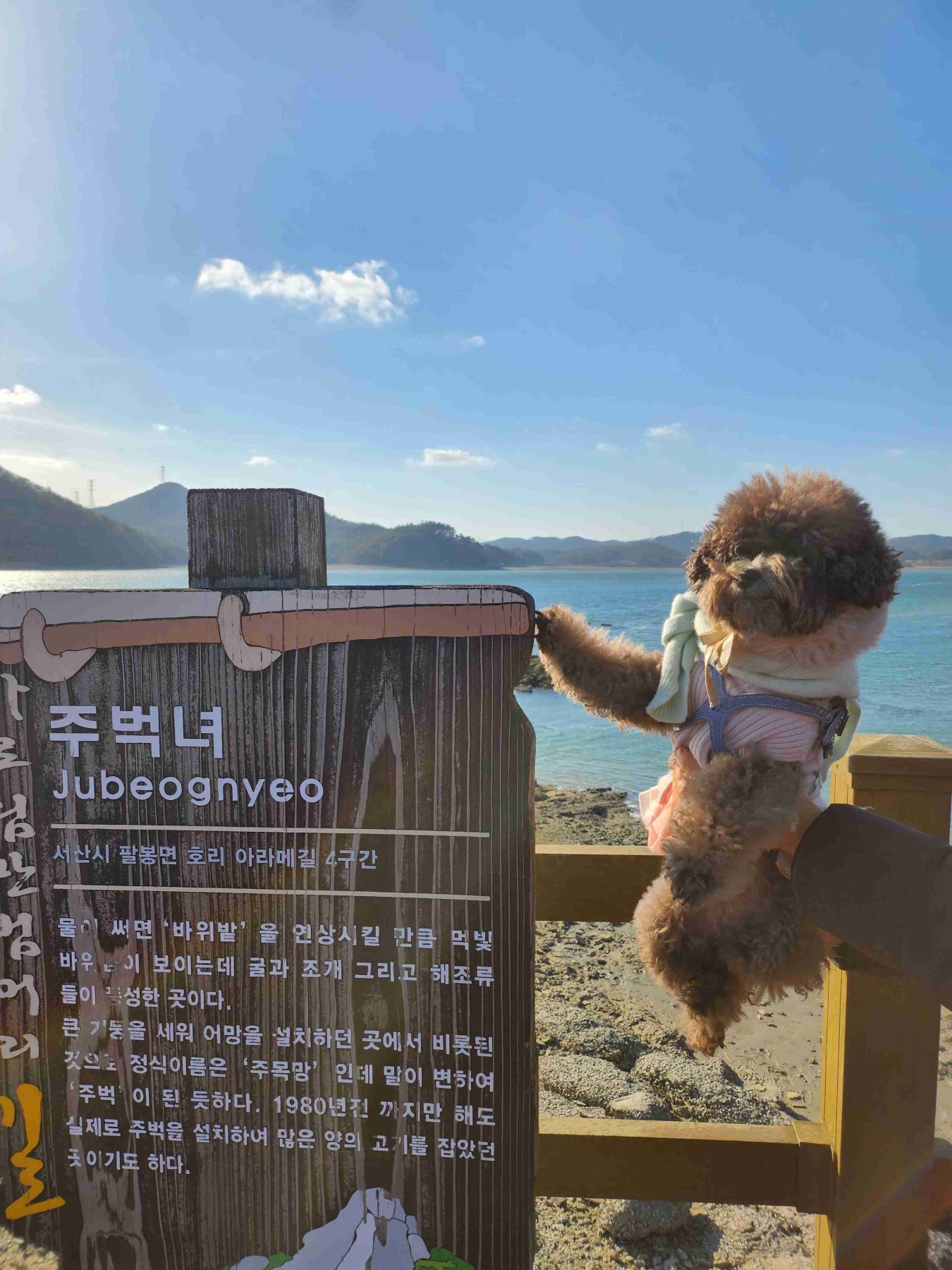 주벅배전망대