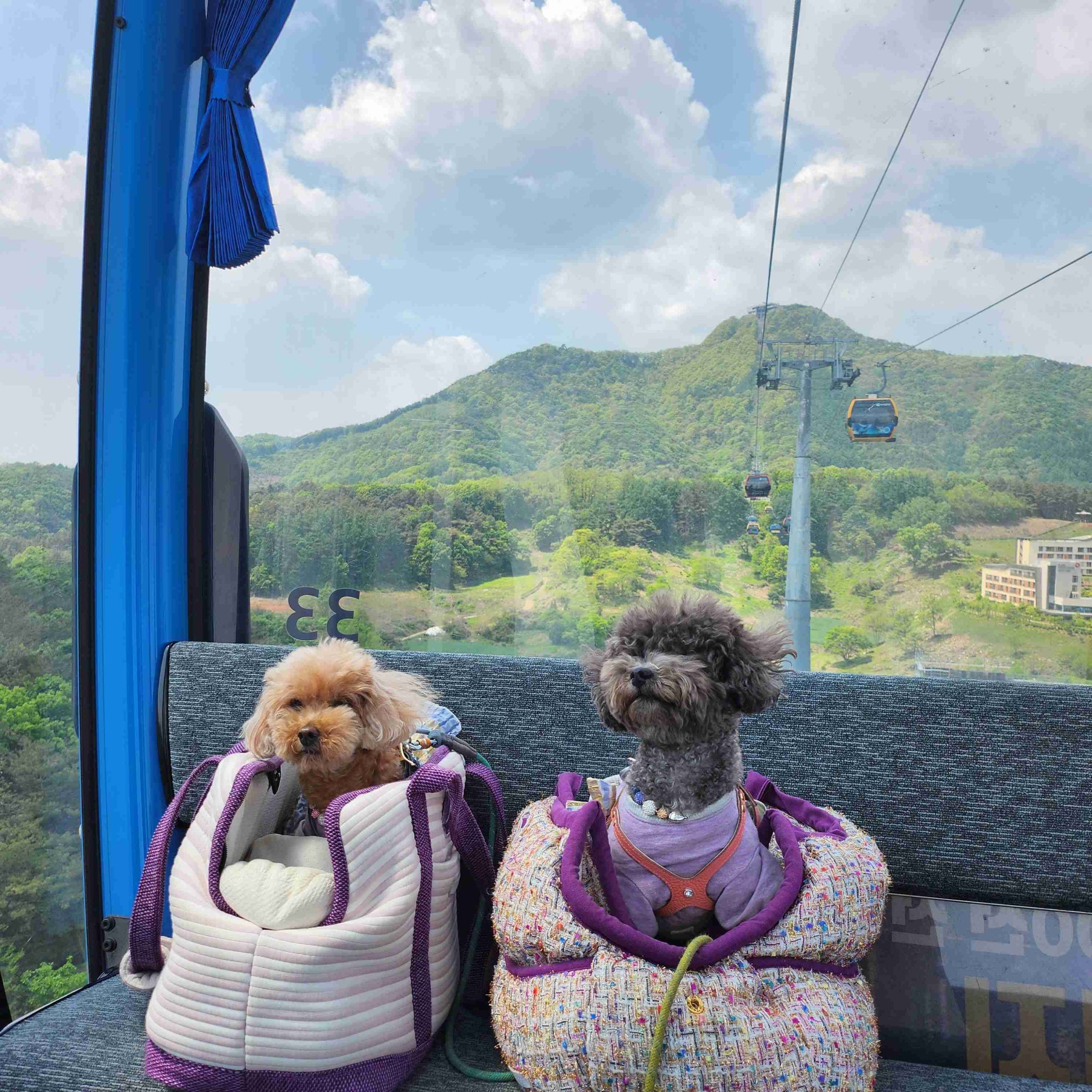 청풍호반케이블카