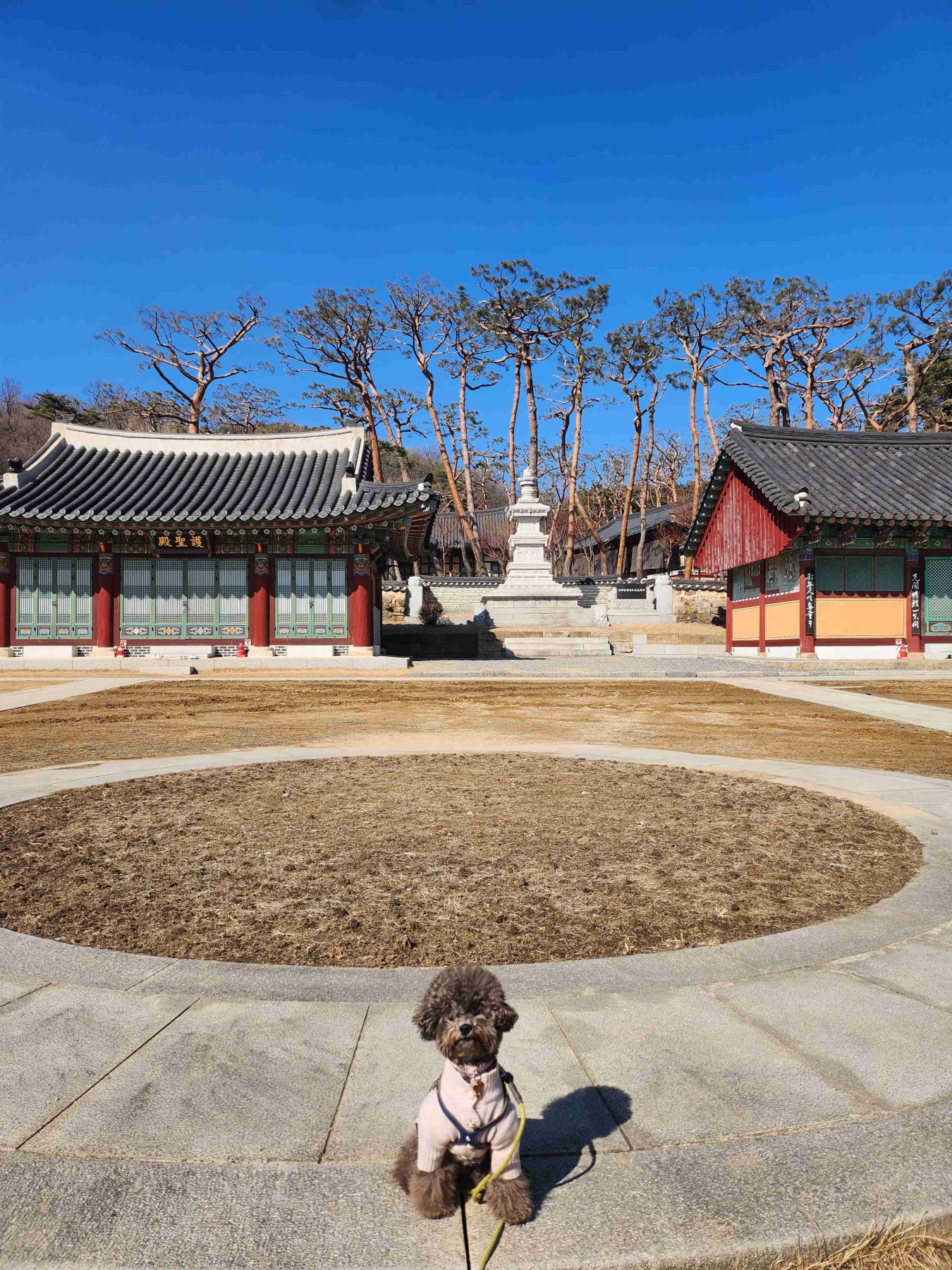 용주사