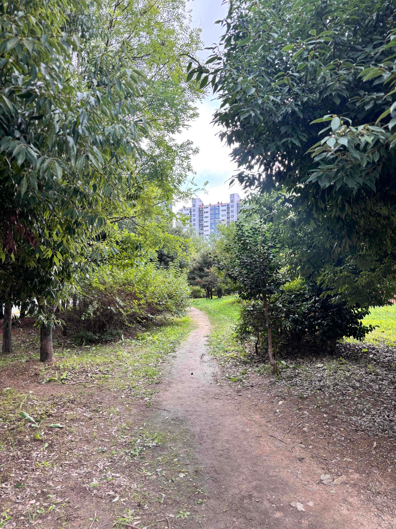 명촌근린공원