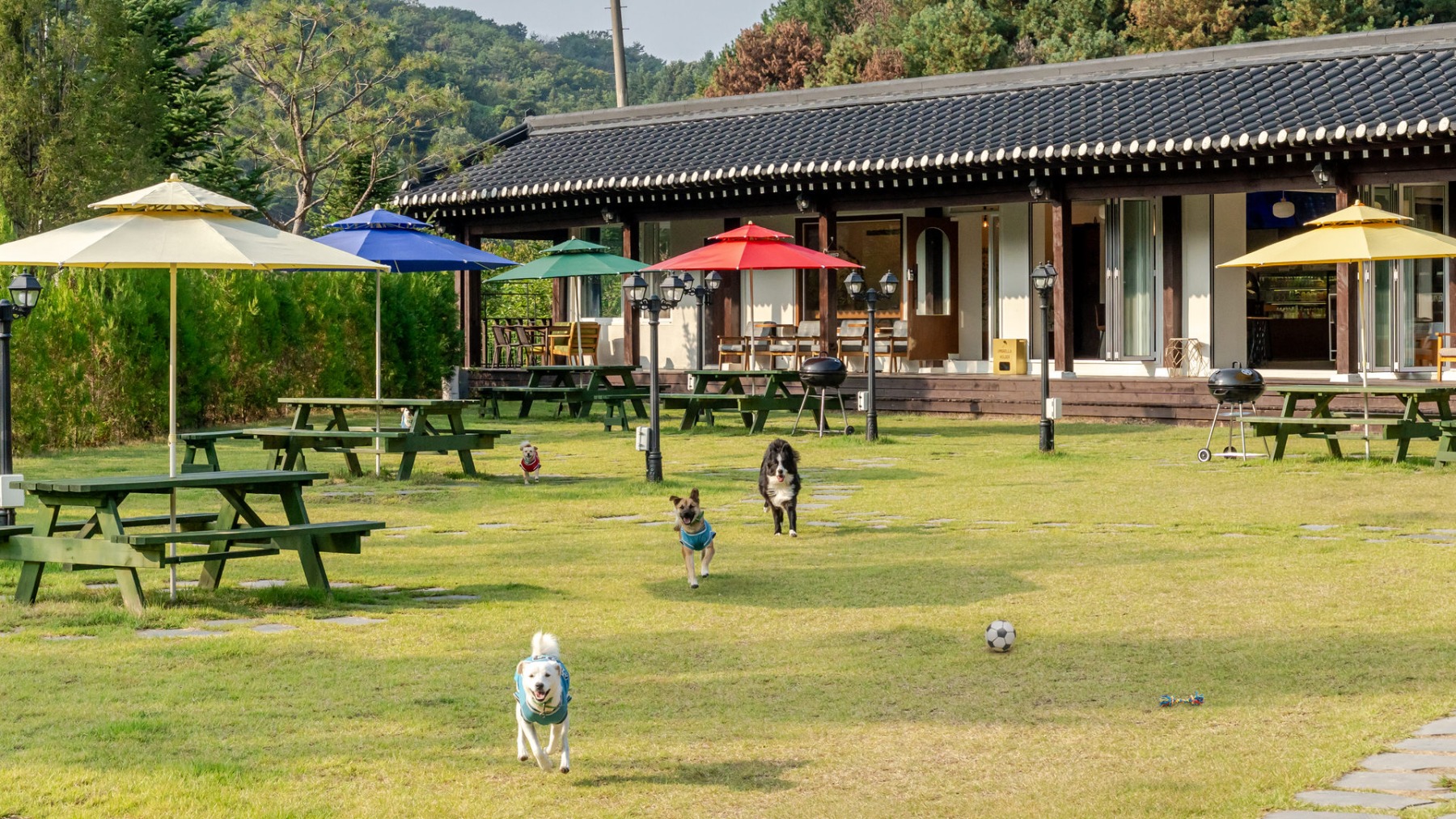 홍천 팔봉수피아 애견동반 펜션